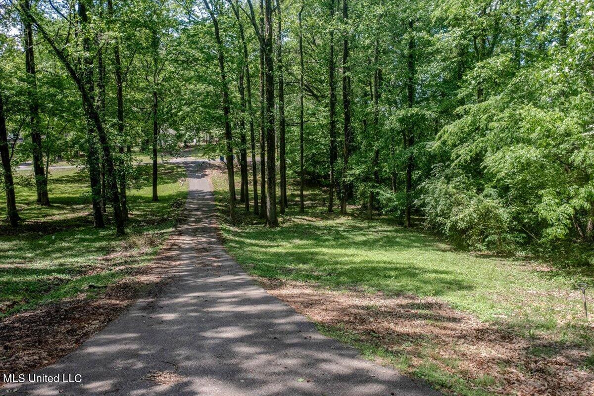 7488 Hickory Estates Drive, Walls, Mississippi image 4