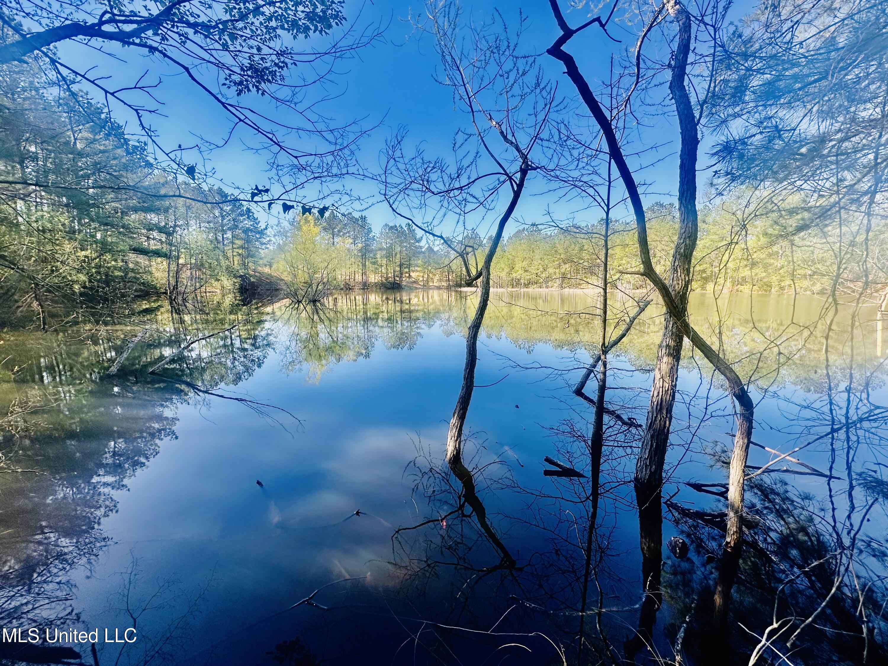 Little Rock Road, Crystal Springs, Mississippi image 14