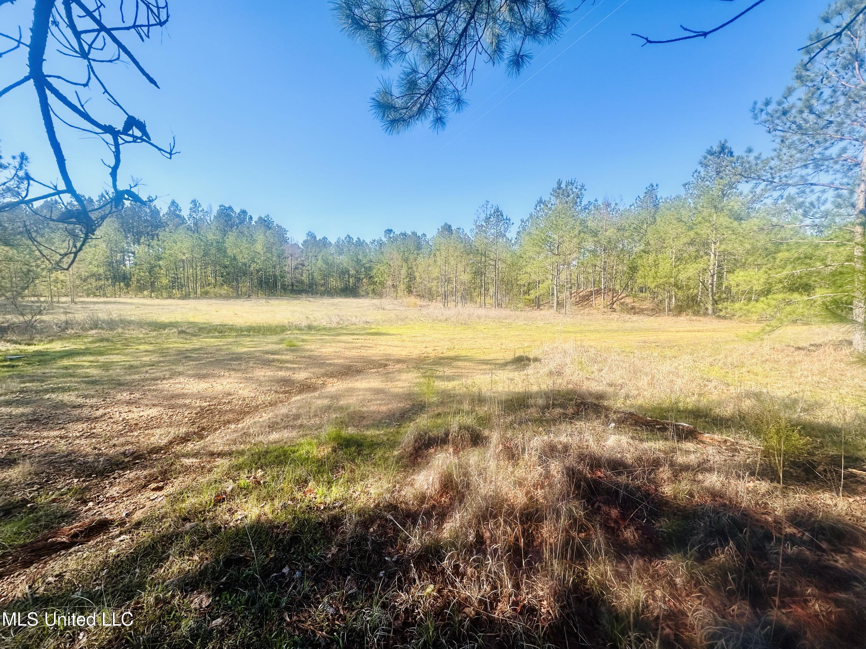 Little Rock Road, Crystal Springs, Mississippi image 5
