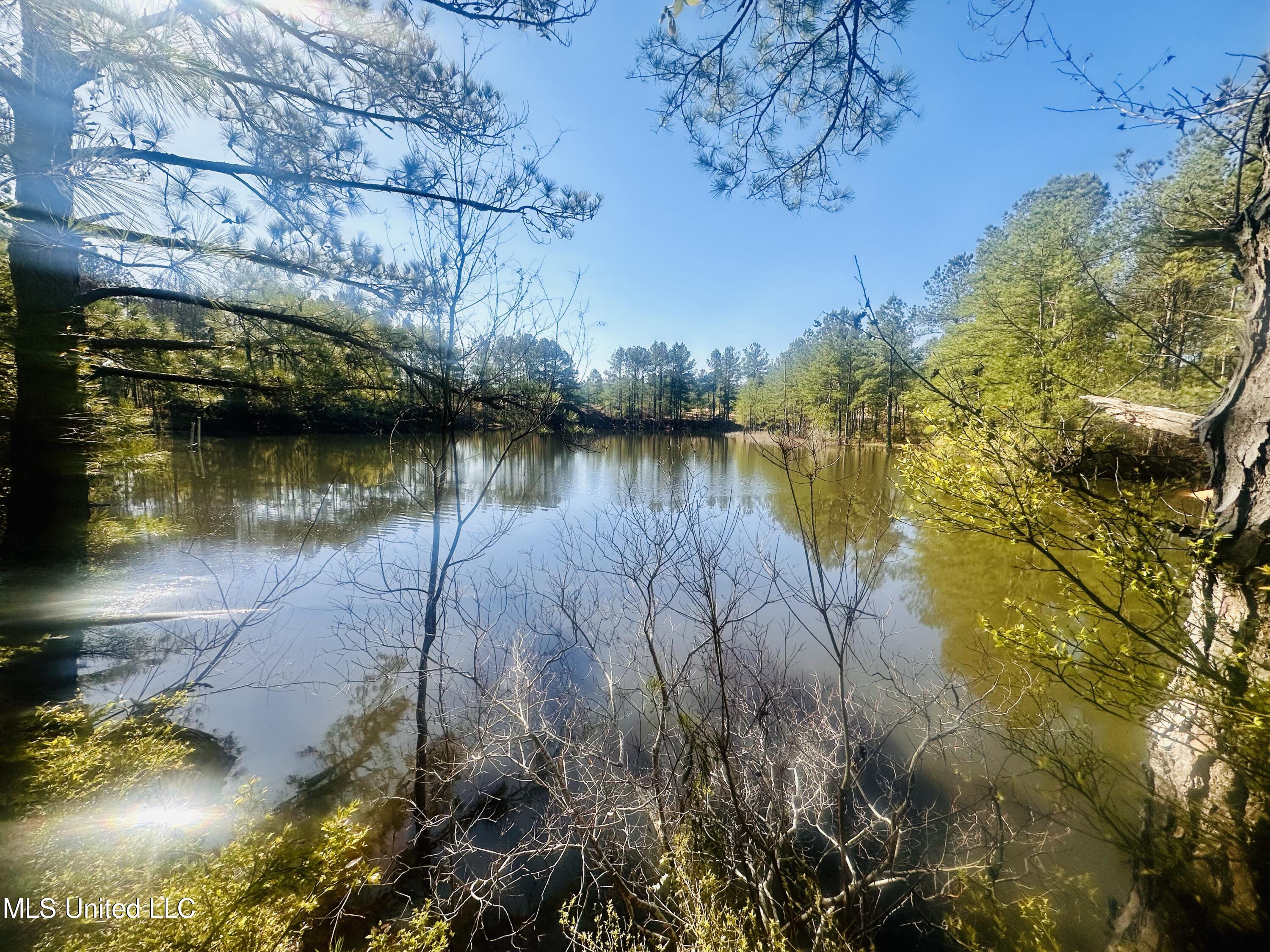 Little Rock Road, Crystal Springs, Mississippi image 10