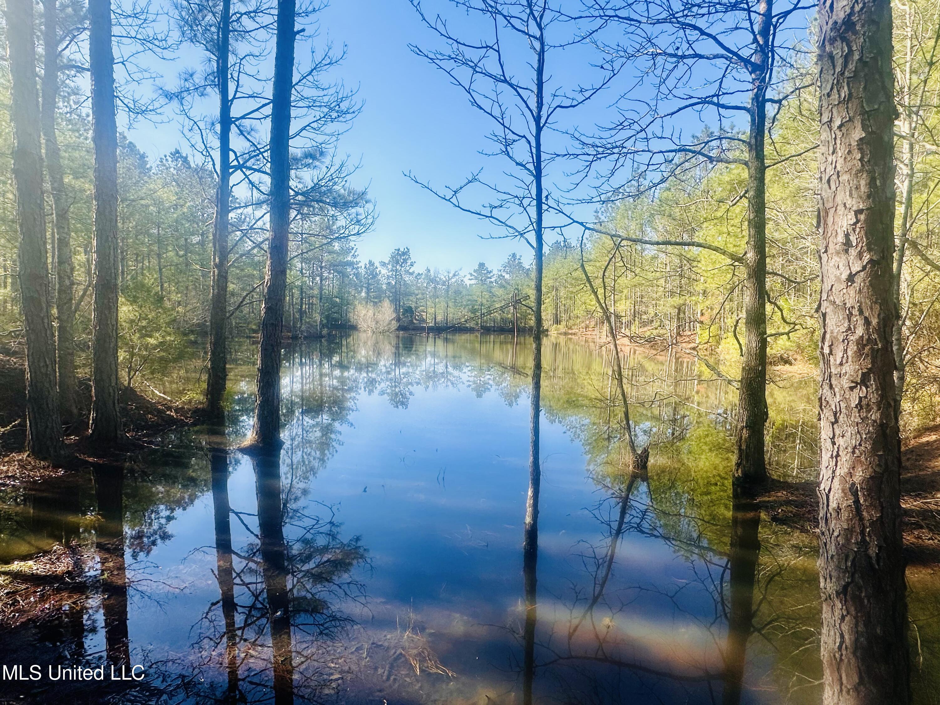 Little Rock Road, Crystal Springs, Mississippi image 8
