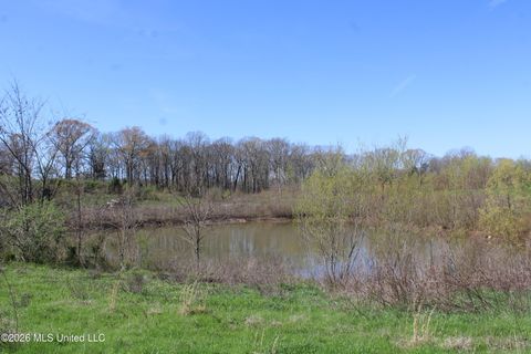 Vacant Land For Sale - 12 Barton Desoto Road<br/> Marshall County, Olive Branch, MS 38654