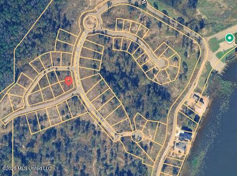 Vacant Land For Sale - Apollo Way<br/> Madison County, Canton, MS 39046