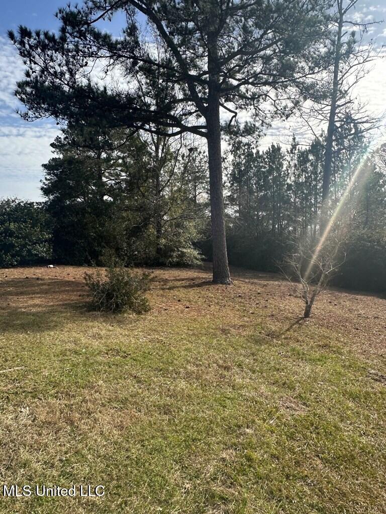 24 Toby Roy Lane, Lumberton, Mississippi image 42