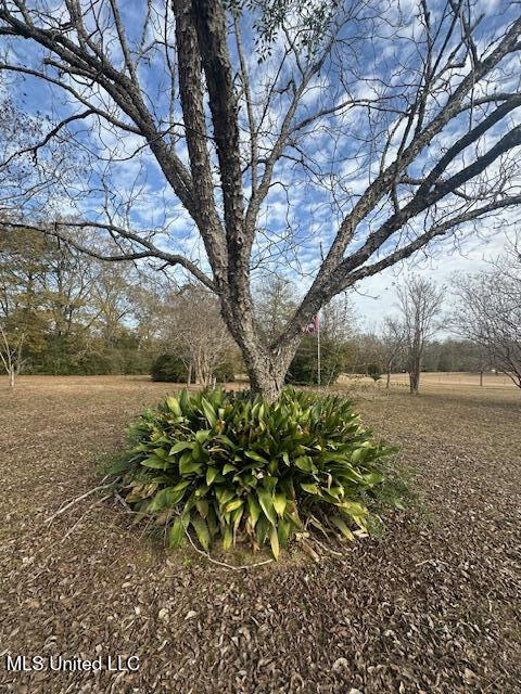 24 Toby Roy Lane, Lumberton, Mississippi image 29