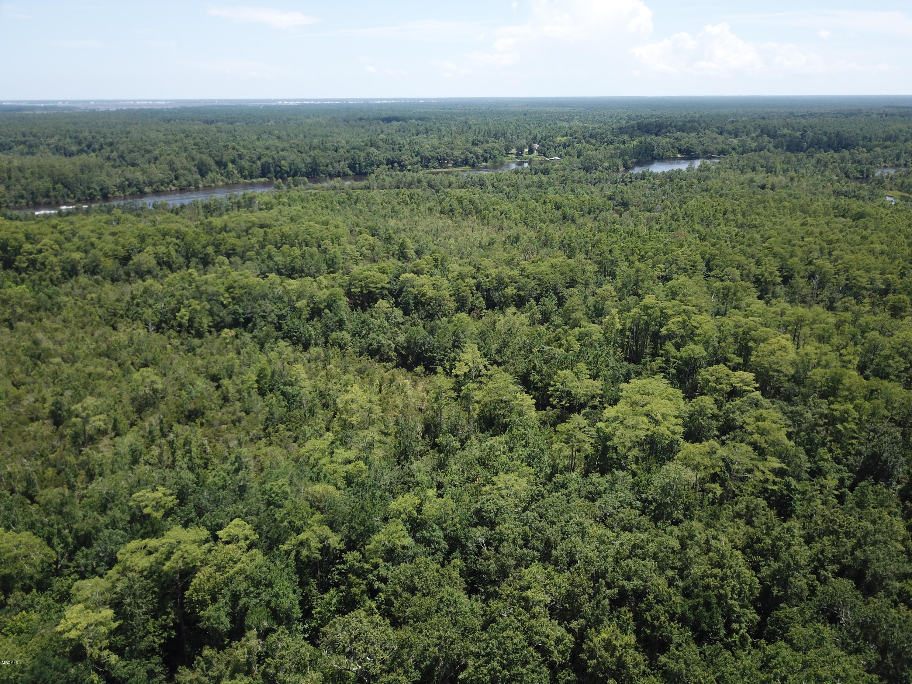 90 Acres Moragas Lane, Kiln, Mississippi image 17