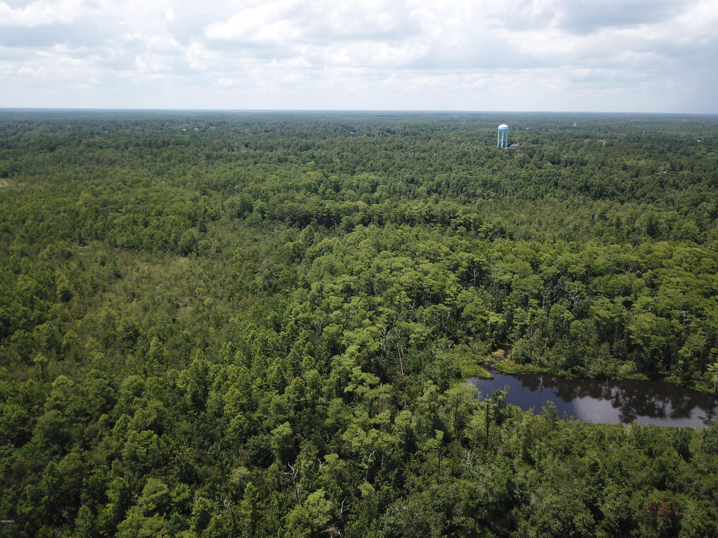 90 Acres Moragas Lane, Kiln, Mississippi image 9