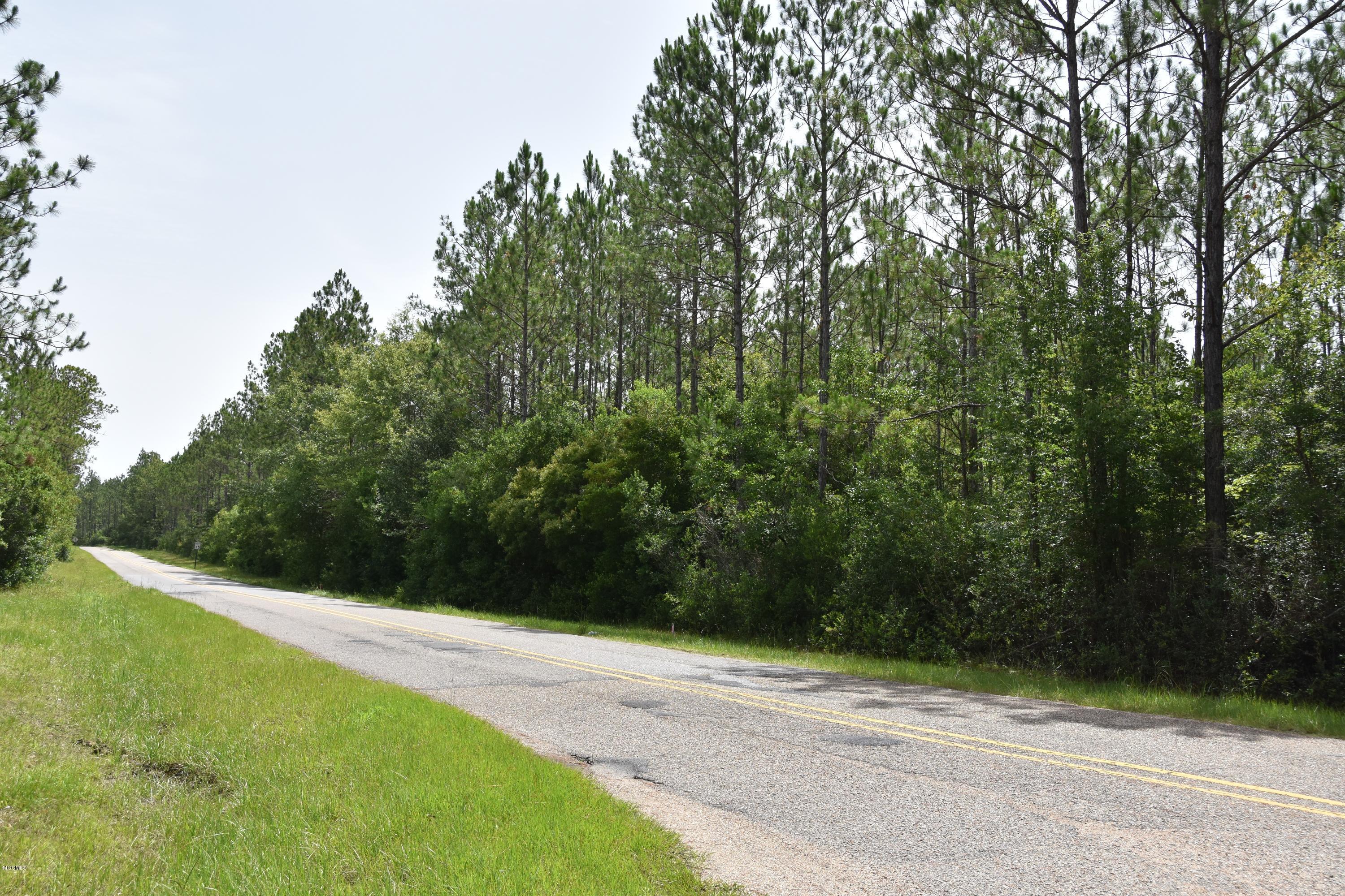 Old Biloxi Road, Ocean Springs, Mississippi image 6