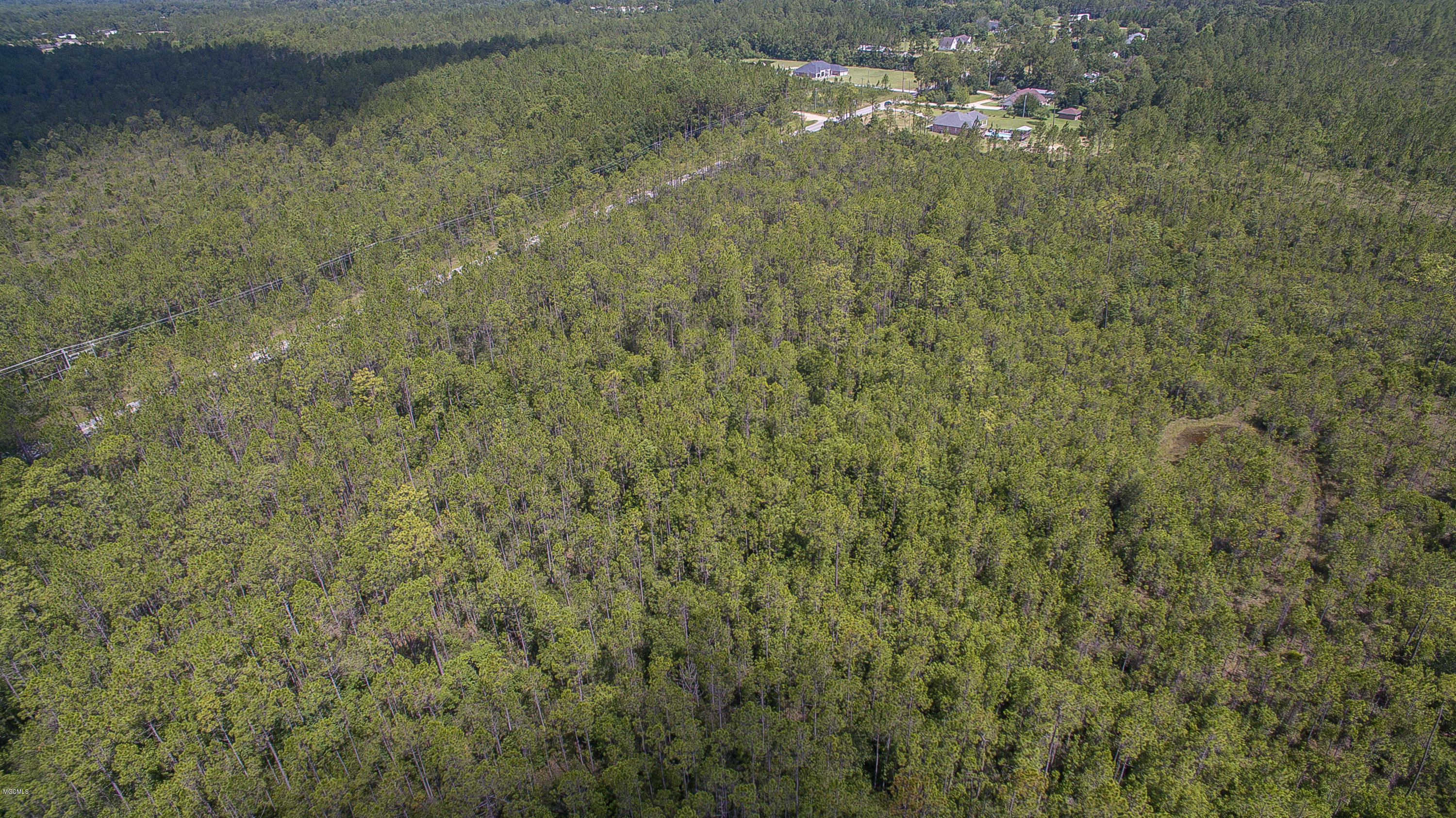 Old Biloxi Road, Ocean Springs, Mississippi image 11