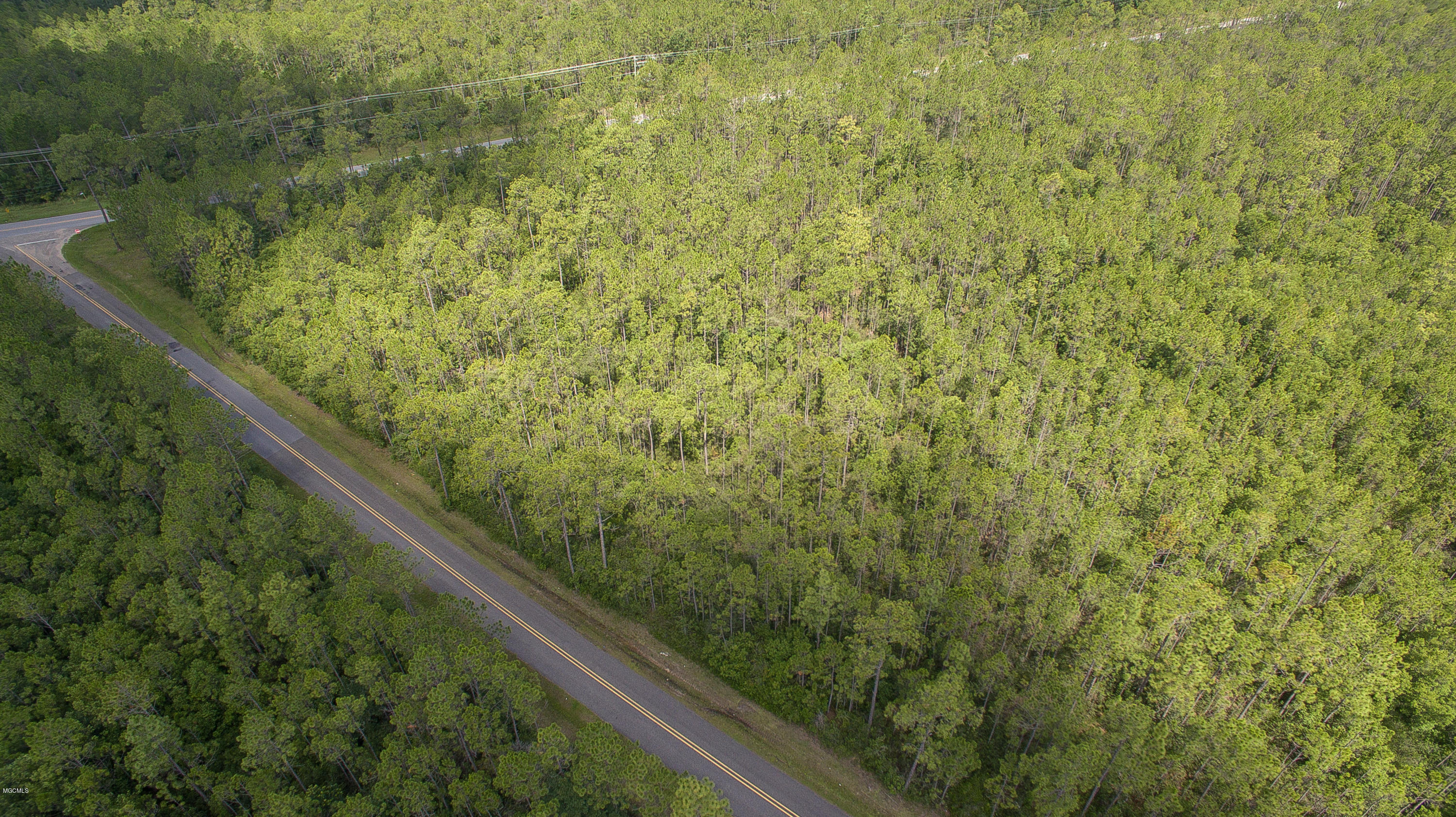 Old Biloxi Road, Ocean Springs, Mississippi image 12