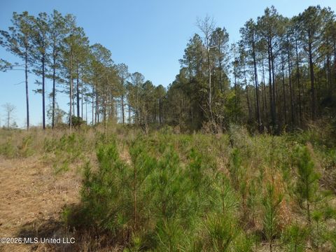 Vacant Land For Sale - 0000 C D Rayborn Road<br/> Pike County, Jayess, MS 39641