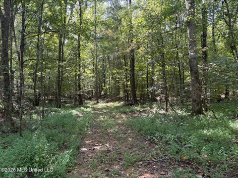 Vacant Land For Sale - Mississippi 41<br/> Pontotoc County, Pontotoc, MS 38863