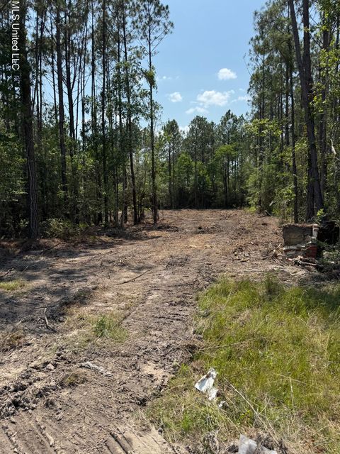 Vacant Land For Sale - 23505 Hwy 603<br/> Hancock County, Kiln, MS 39556