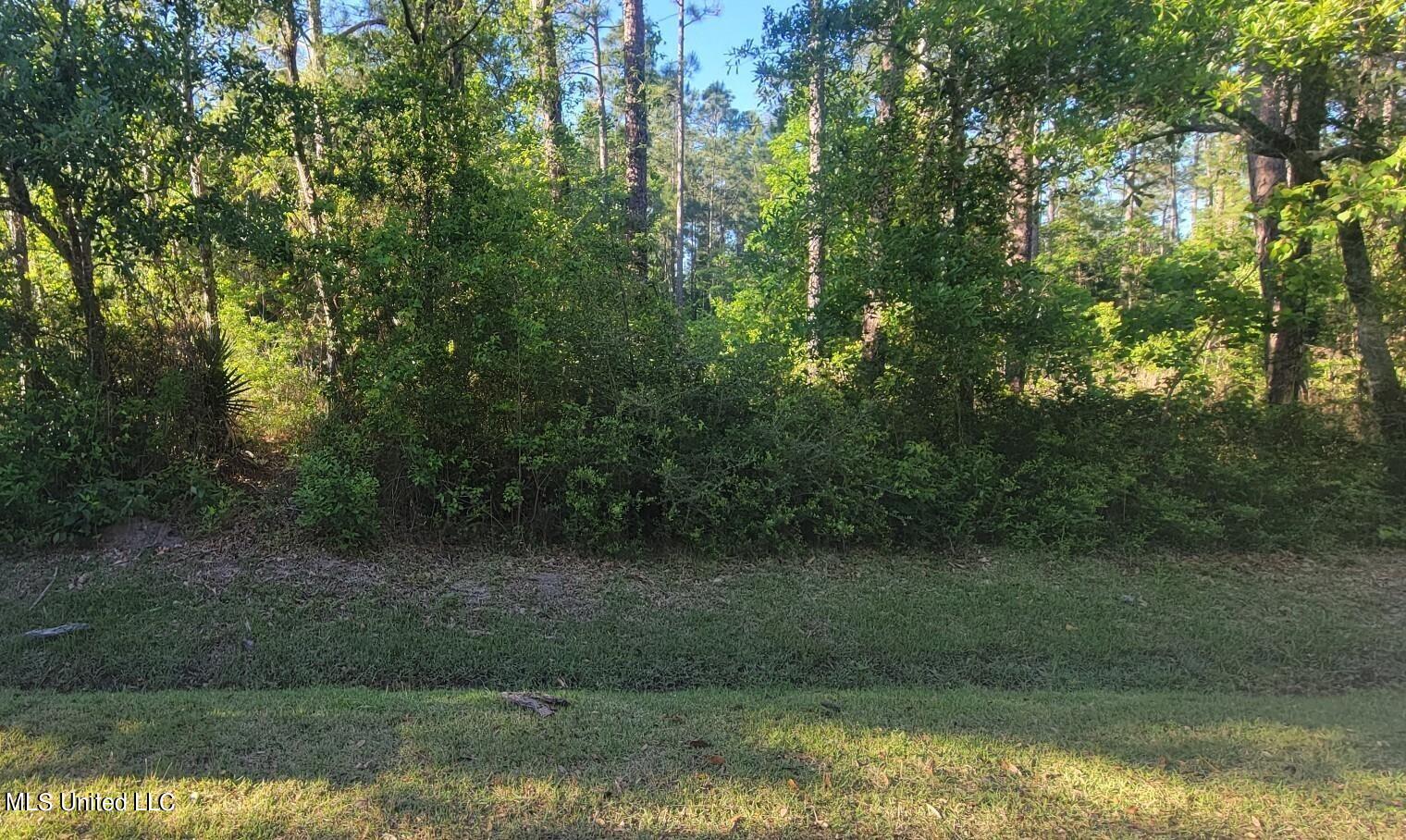 Lot 38 Eighth Street, Bay Saint Louis, Mississippi image 2