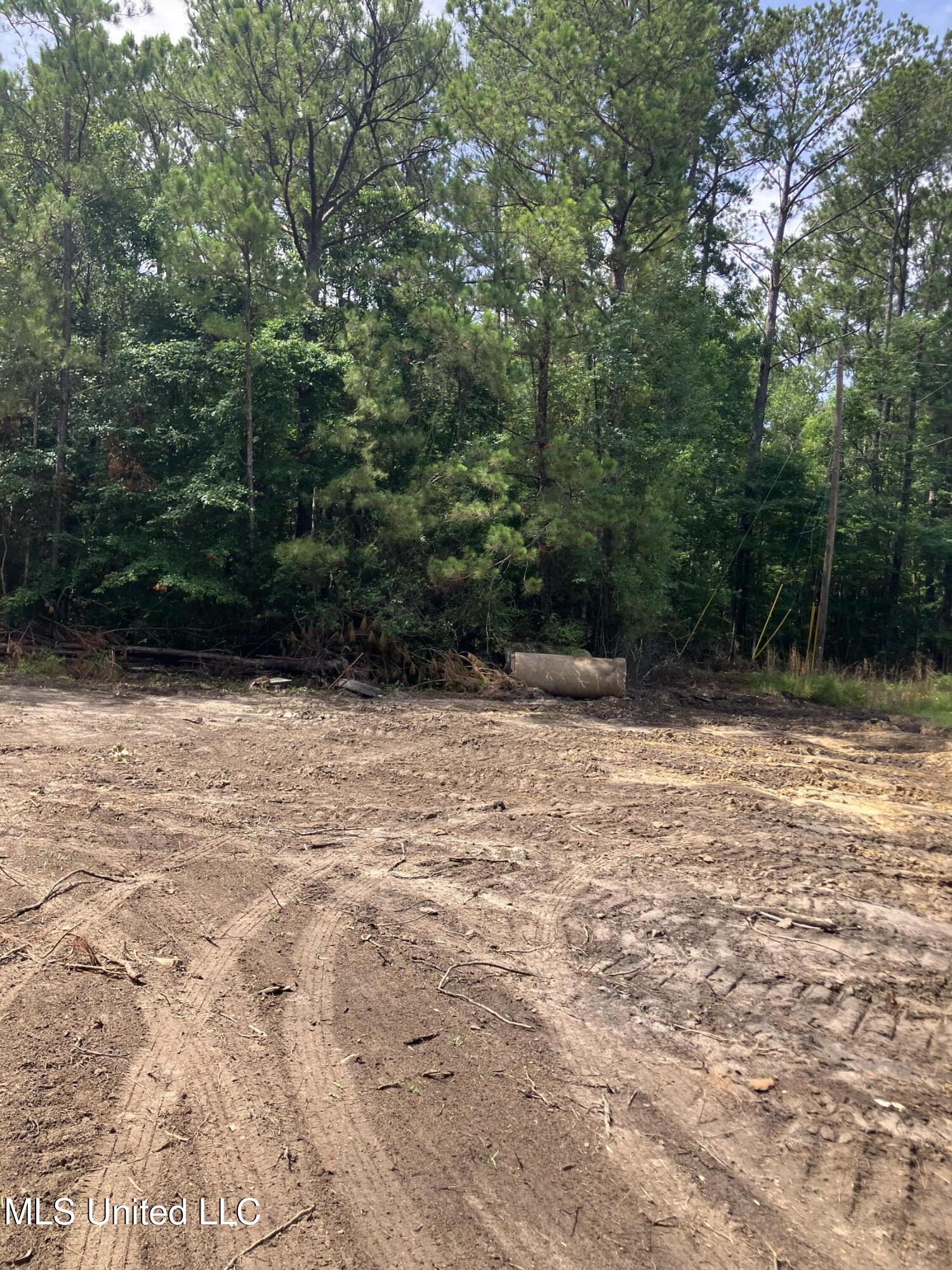 Lassabe Road, Long Beach, Mississippi image 3