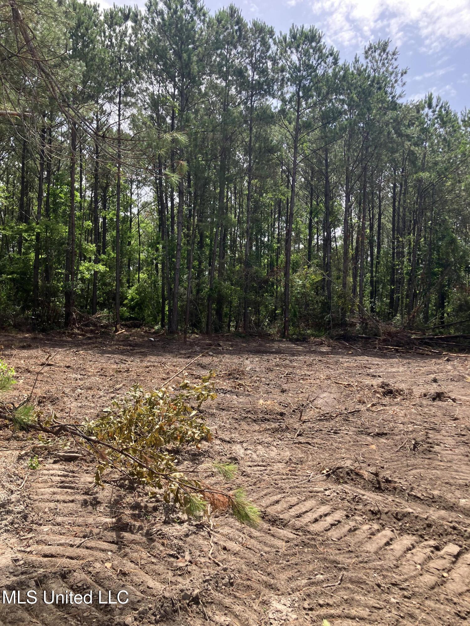 Lassabe Road, Long Beach, Mississippi image 4