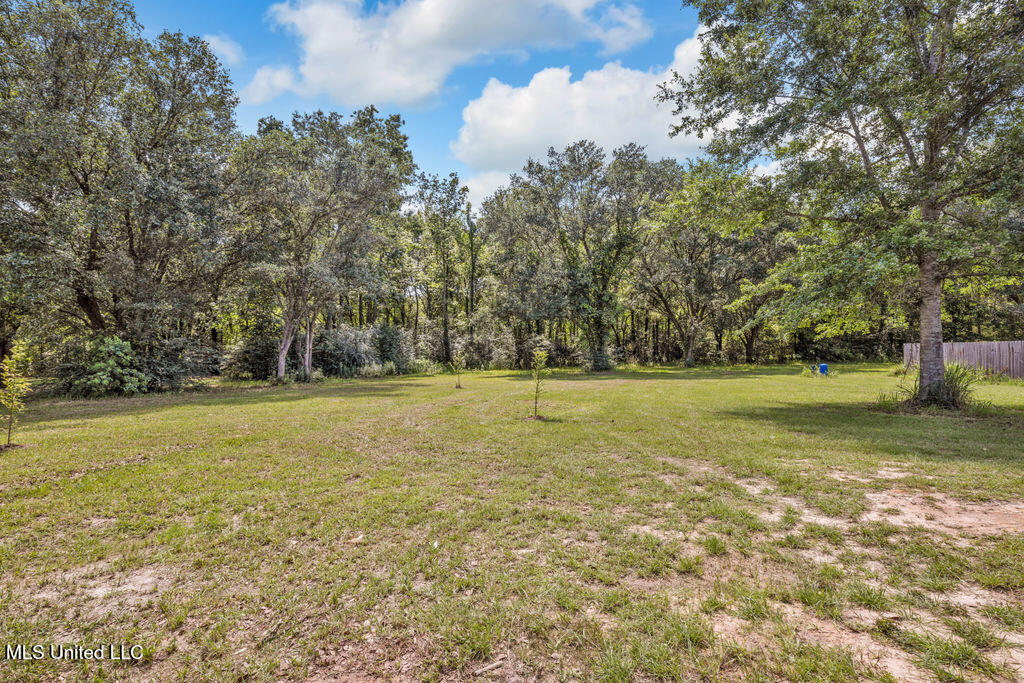 21621 Coleman Cemetery Road, Moss Point, Mississippi image 20