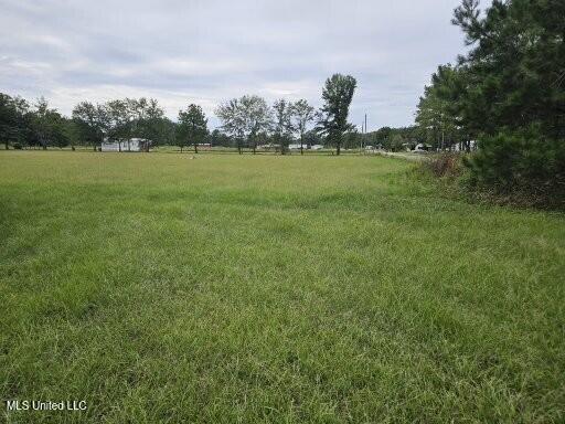 1844 Swamp Creek Road, Carthage, Mississippi image 4