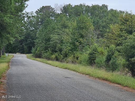 1844 Swamp Creek Road, Carthage, Mississippi image 8