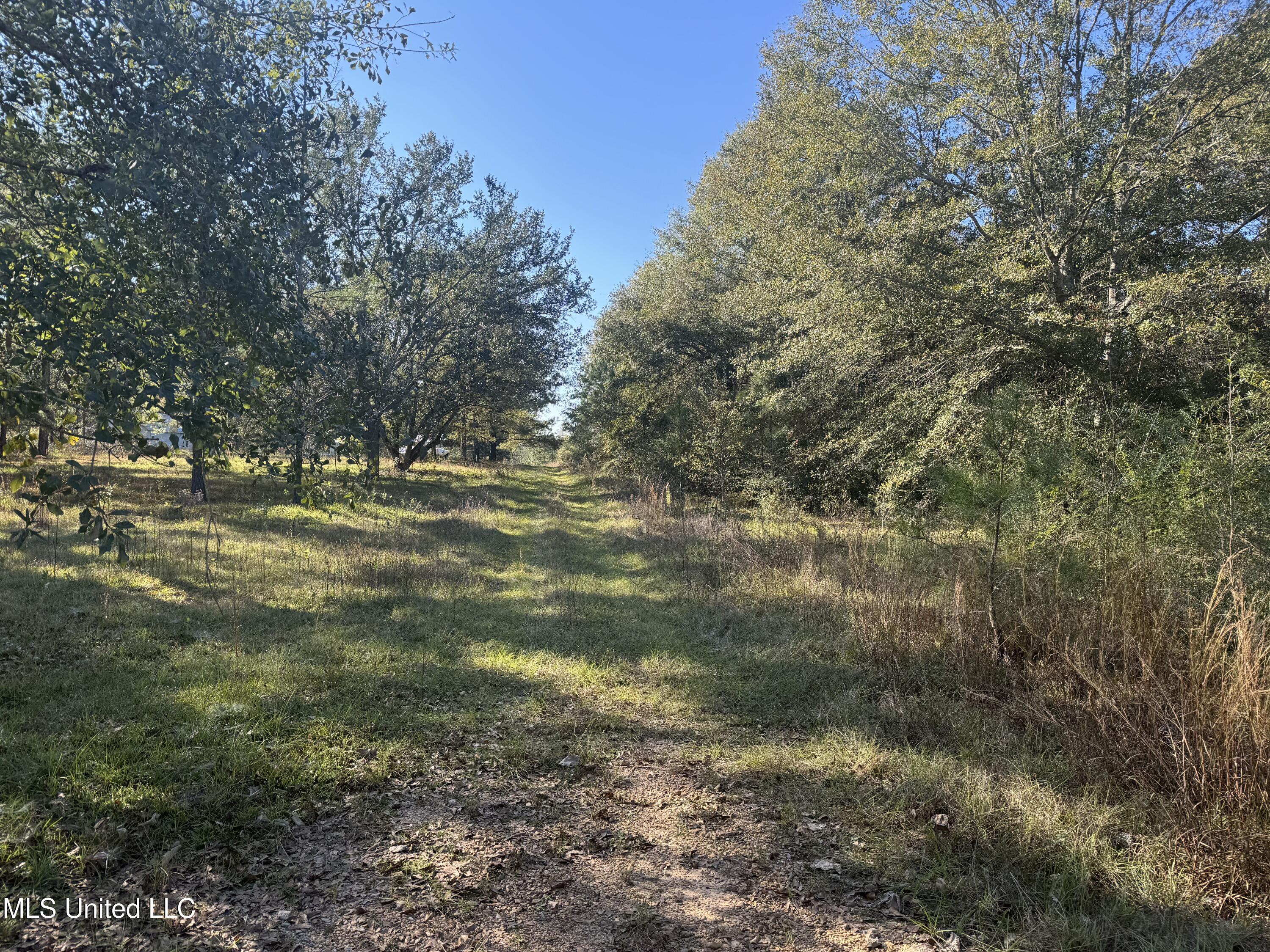 Robert Dubose Road, Lumberton, Mississippi image 1