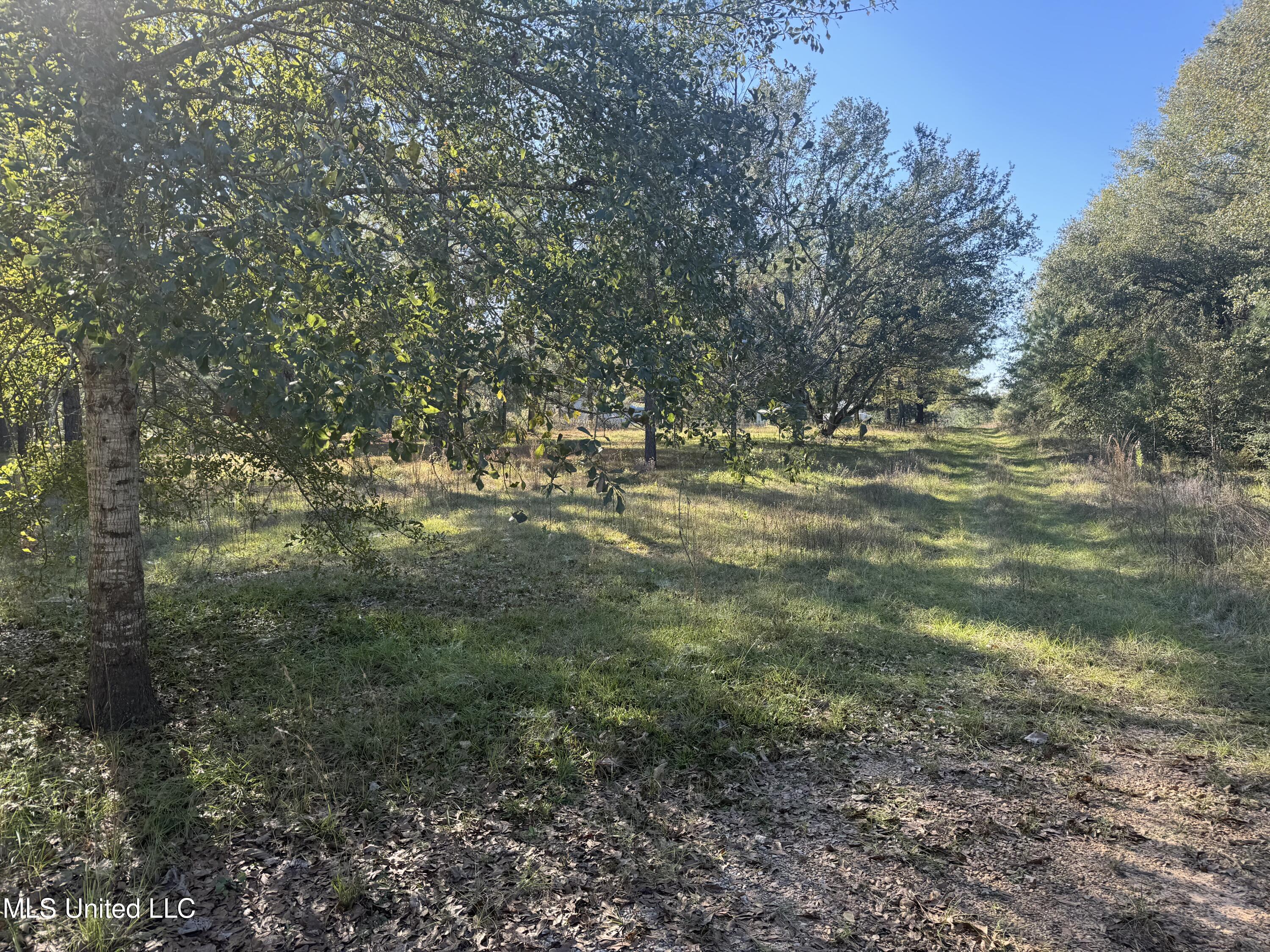 Robert Dubose Road, Lumberton, Mississippi image 3