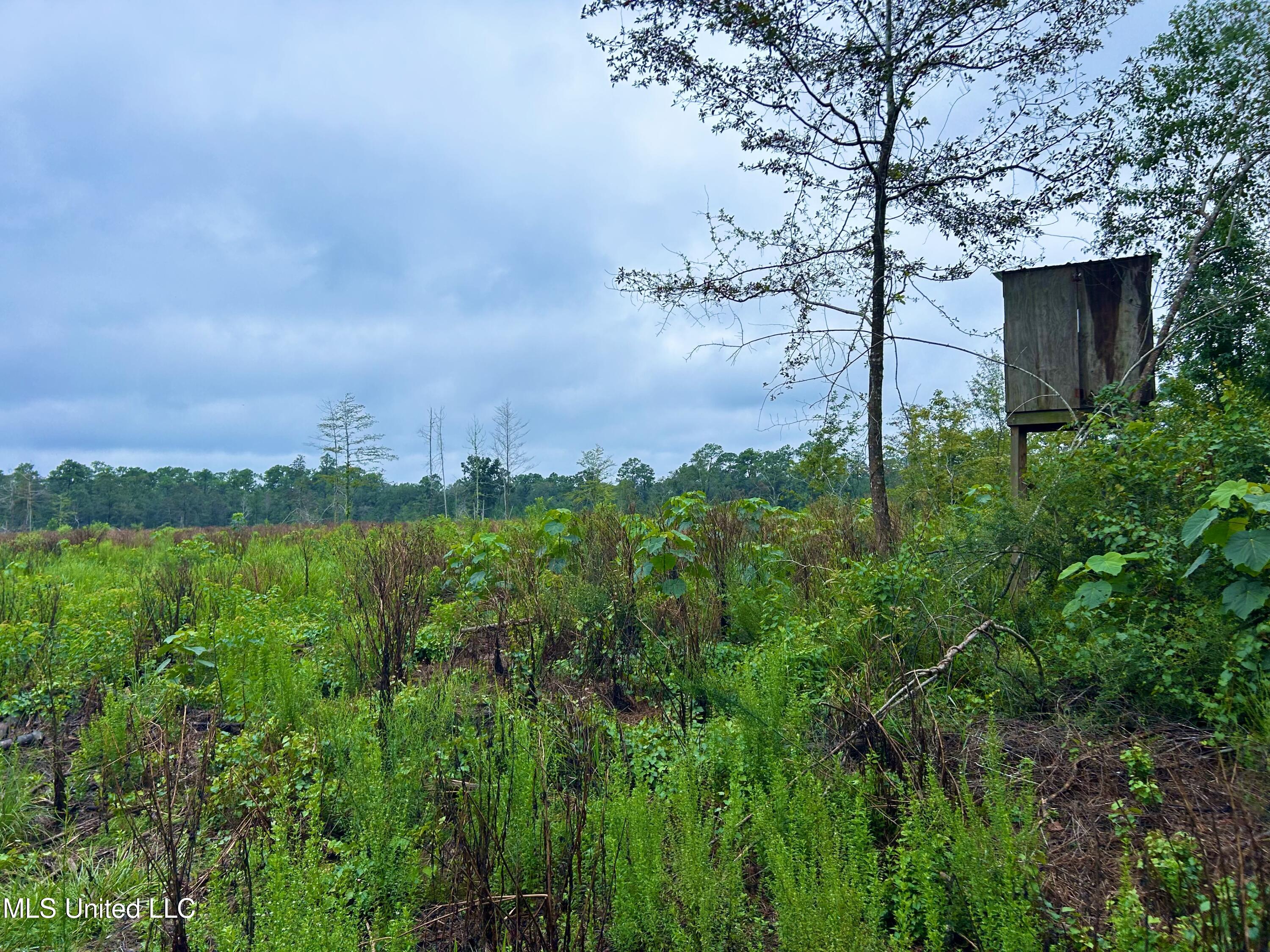 Tbd Campground Rd/ Indian Lane, Vancleave, Mississippi image 15