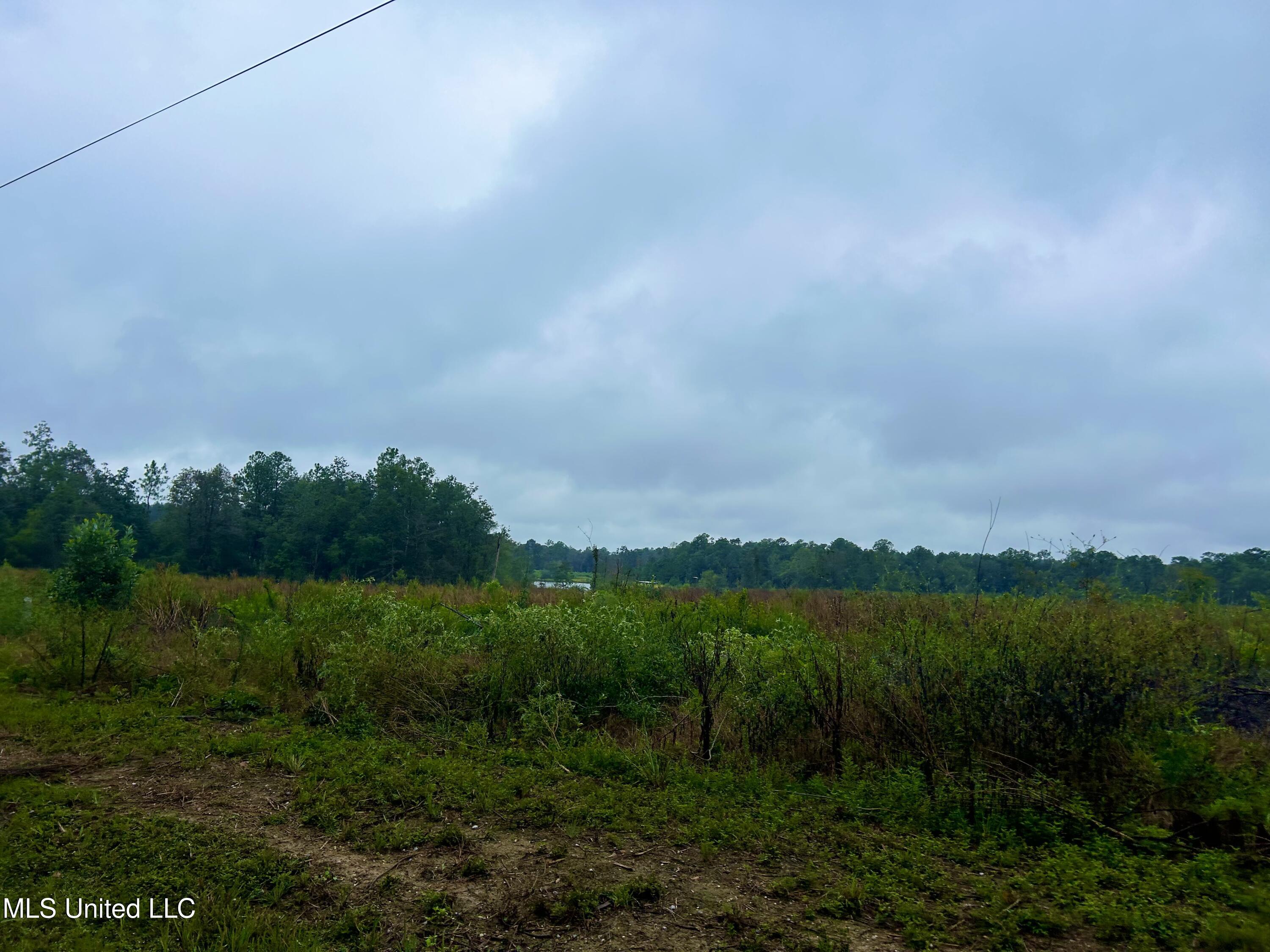 Tbd Campground Rd/ Indian Lane, Vancleave, Mississippi image 4