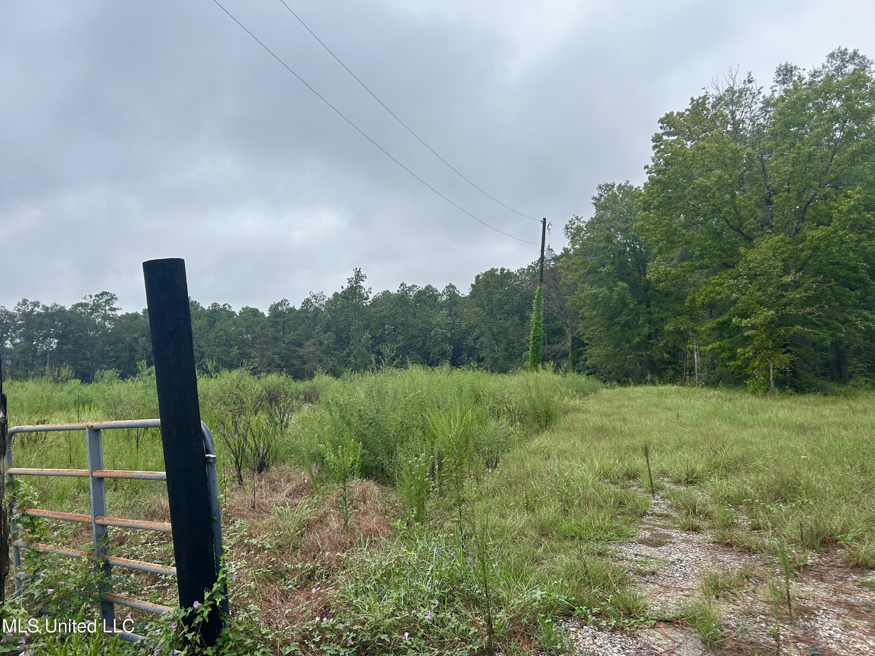 Tbd Campground Rd/ Indian Lane, Vancleave, Mississippi image 8