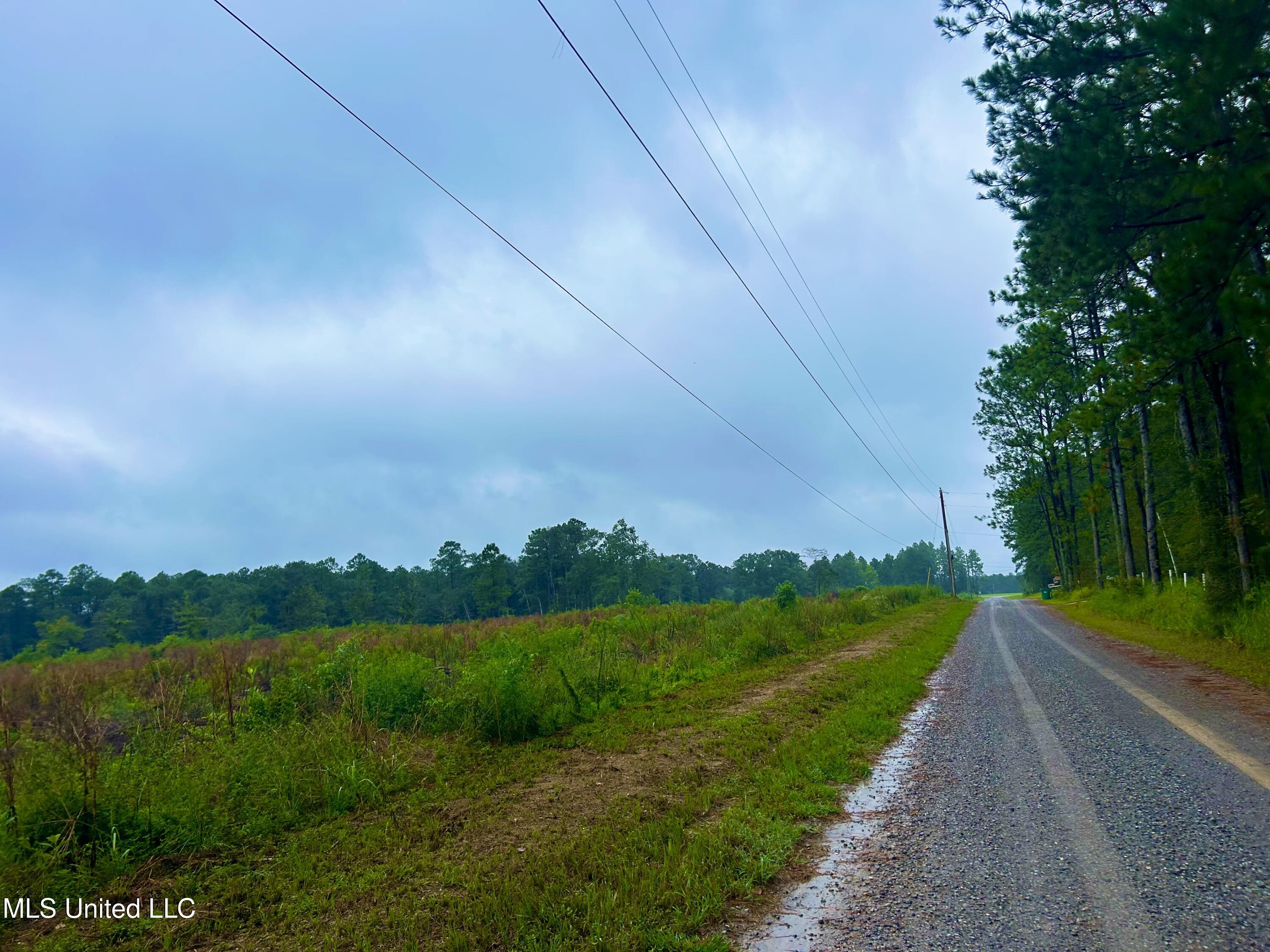 Tbd Campground Rd/ Indian Lane, Vancleave, Mississippi image 3