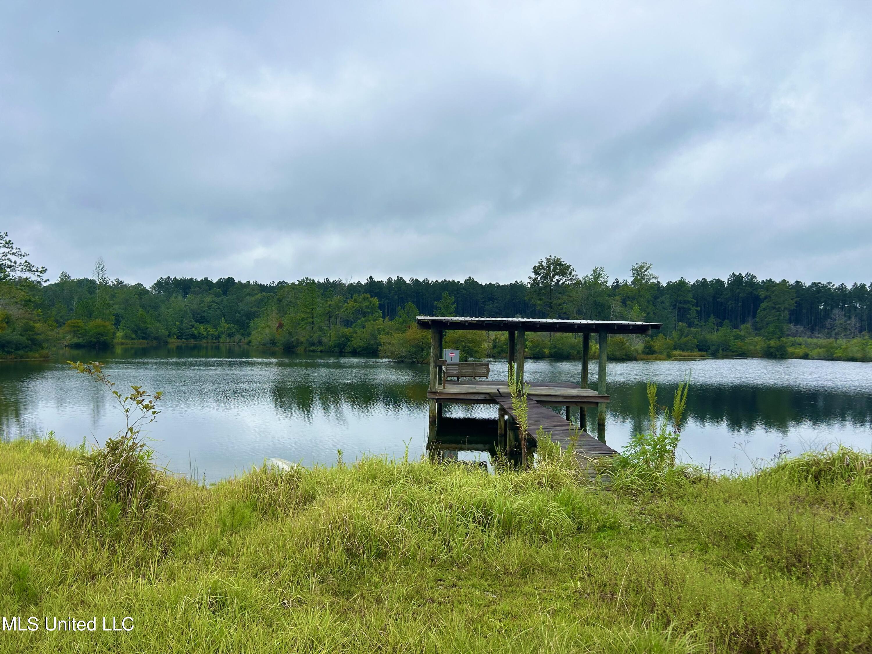 Tbd Campground Rd/ Indian Lane, Vancleave, Mississippi image 1