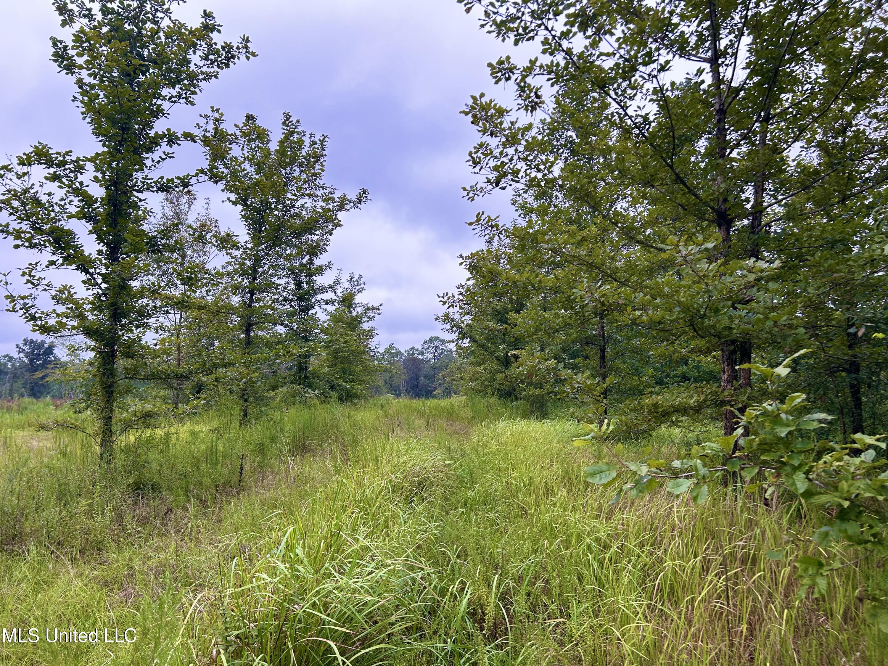 Tbd Campground Rd/ Indian Lane, Vancleave, Mississippi image 20