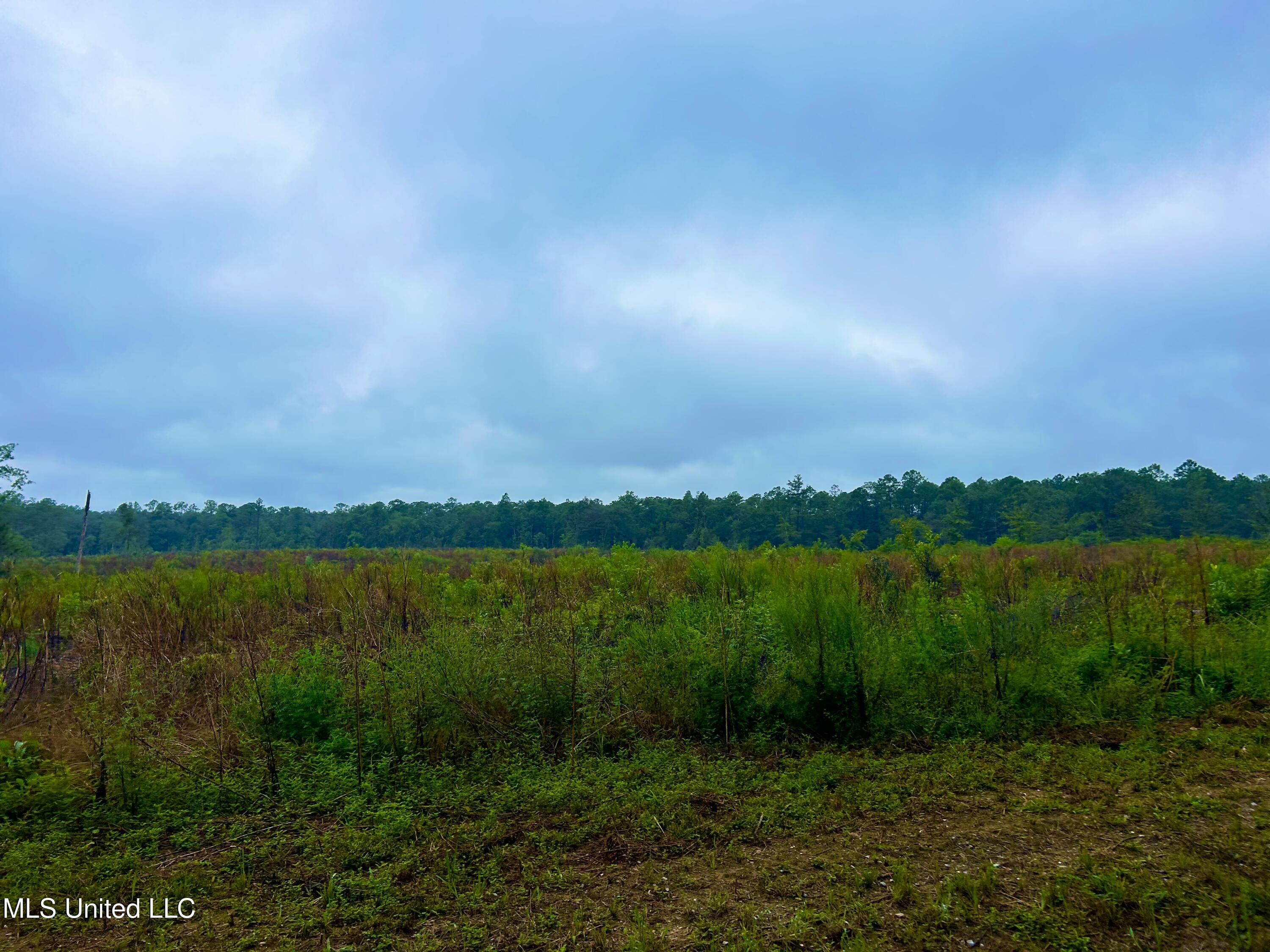 Tbd Campground Rd/ Indian Lane, Vancleave, Mississippi image 2