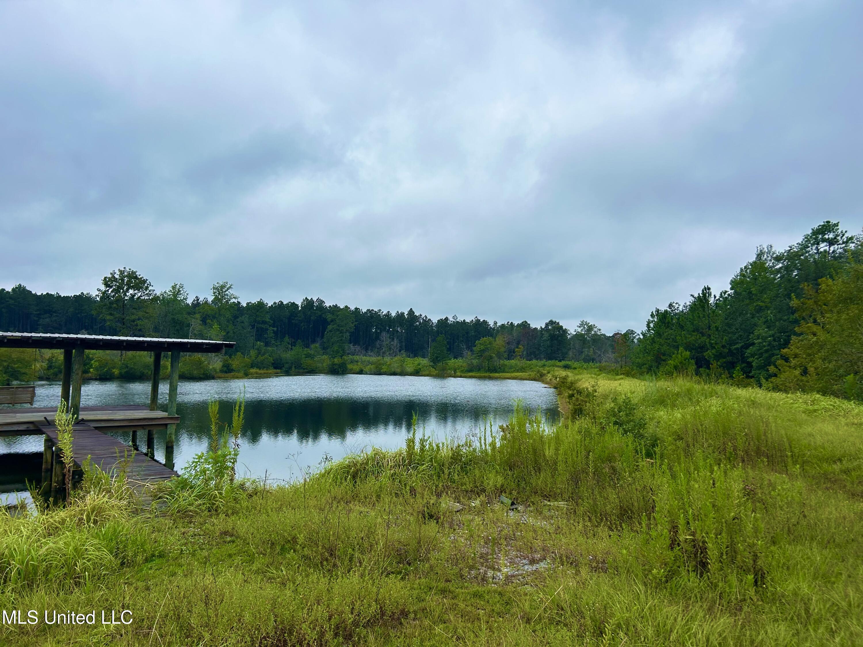 Tbd Campground Rd/ Indian Lane, Vancleave, Mississippi image 6