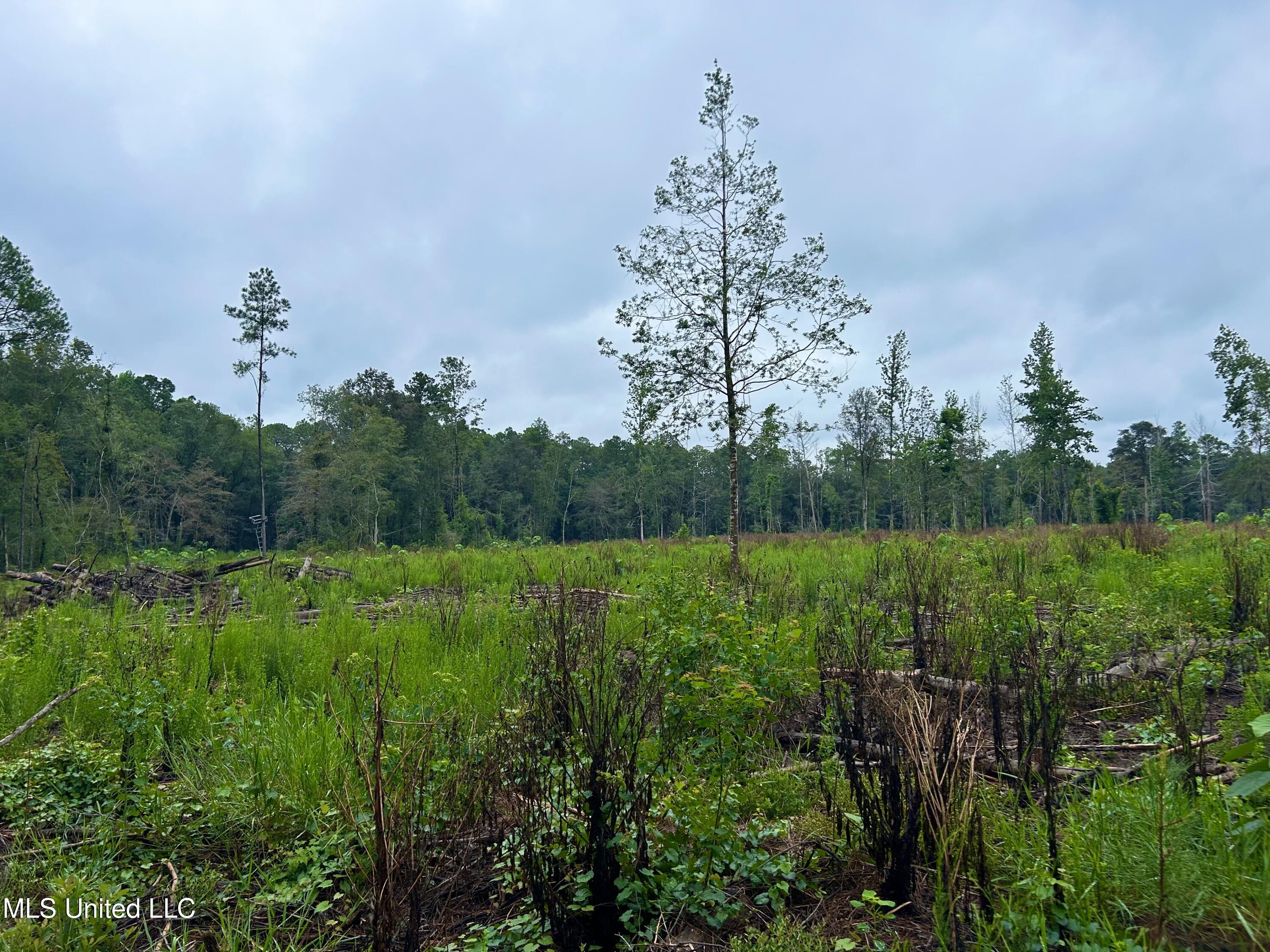 Tbd Campground Rd/ Indian Lane, Vancleave, Mississippi image 21