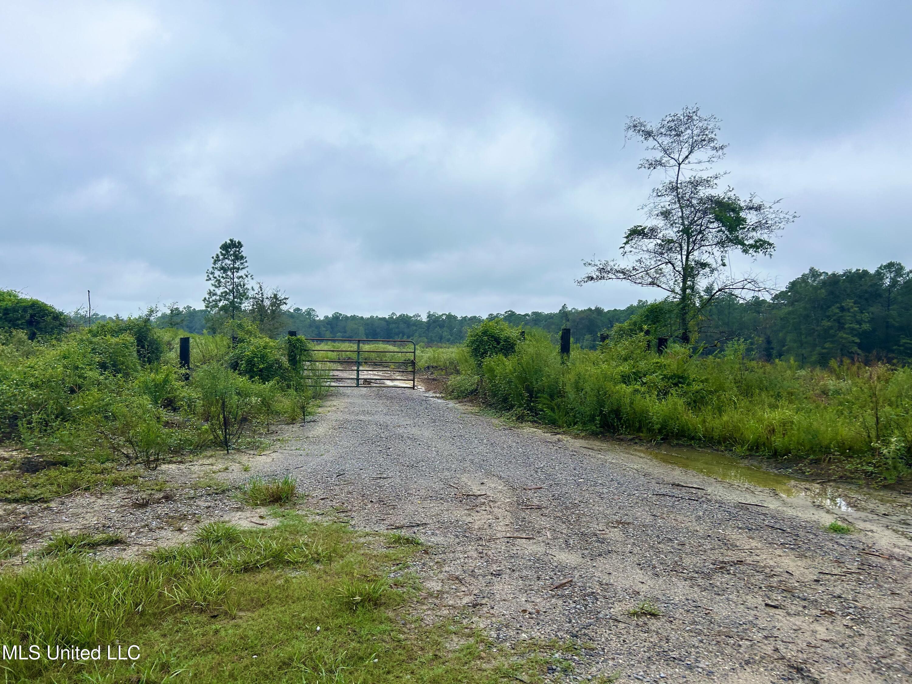 Tbd Campground Rd/ Indian Lane, Vancleave, Mississippi image 5