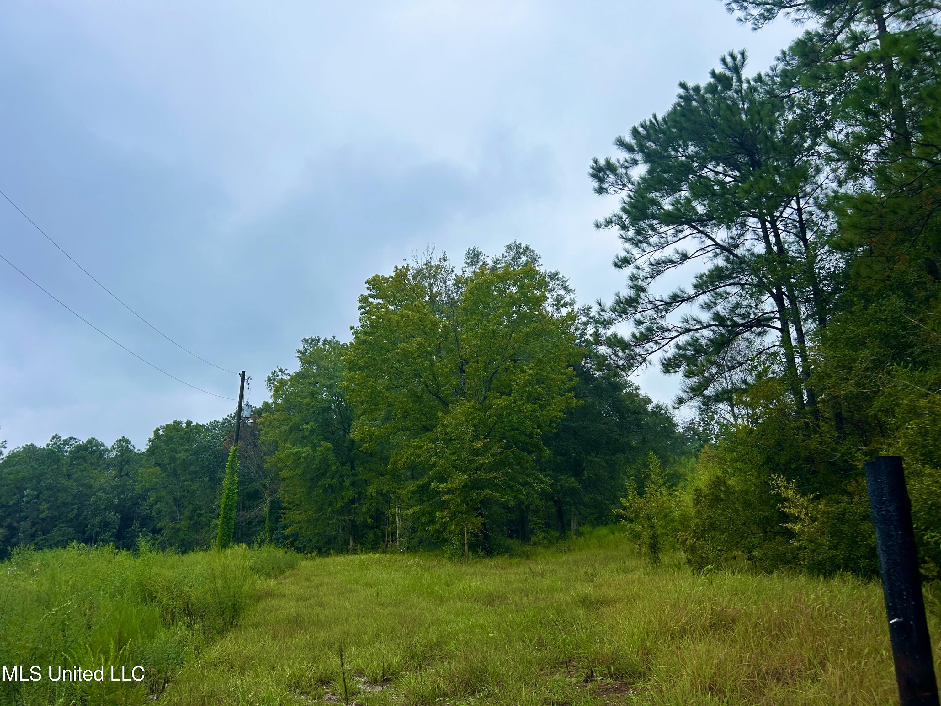 Tbd Campground Rd/ Indian Lane, Vancleave, Mississippi image 9