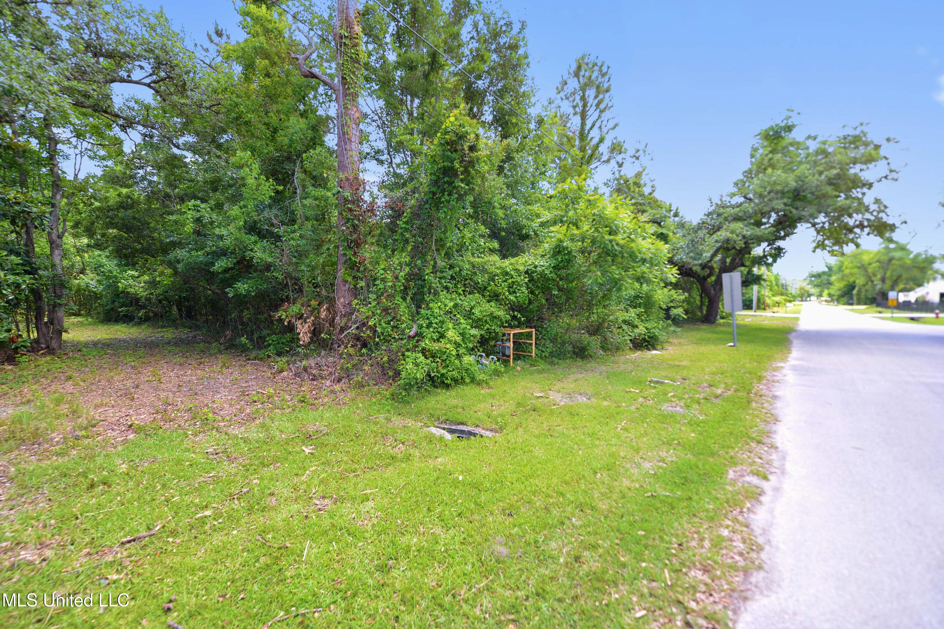 Hoffman Lane, Waveland, Mississippi image 5