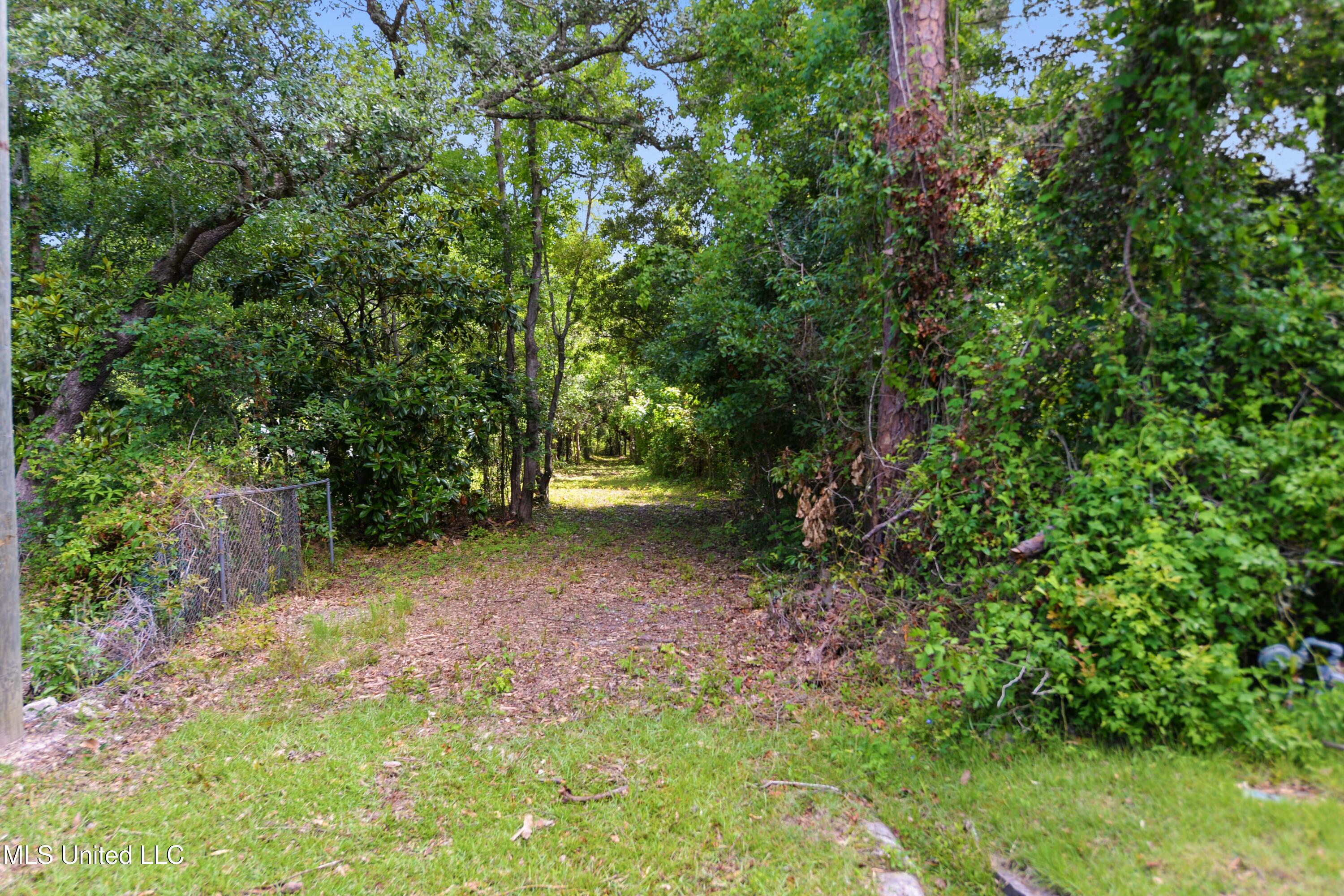 Hoffman Lane, Waveland, Mississippi image 2