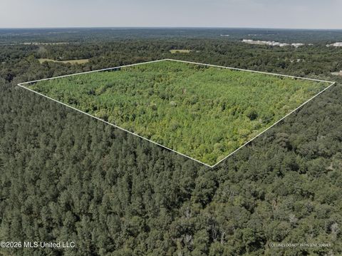 Vacant Land For Sale - 40 ACRES Hwy 588<br/> Covington County, Collins, MS 39428