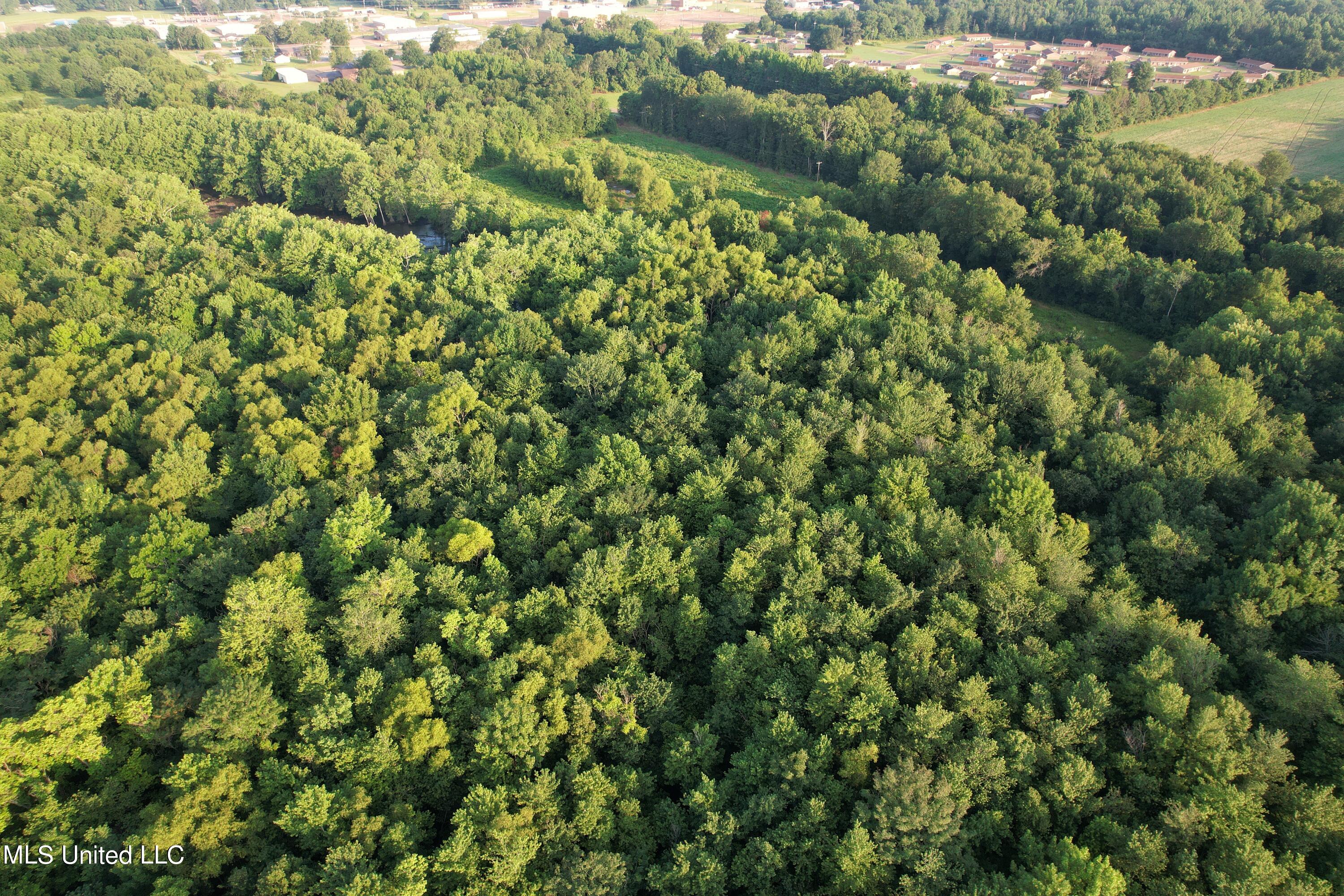 Browning Road, Greenwood, Mississippi image 9