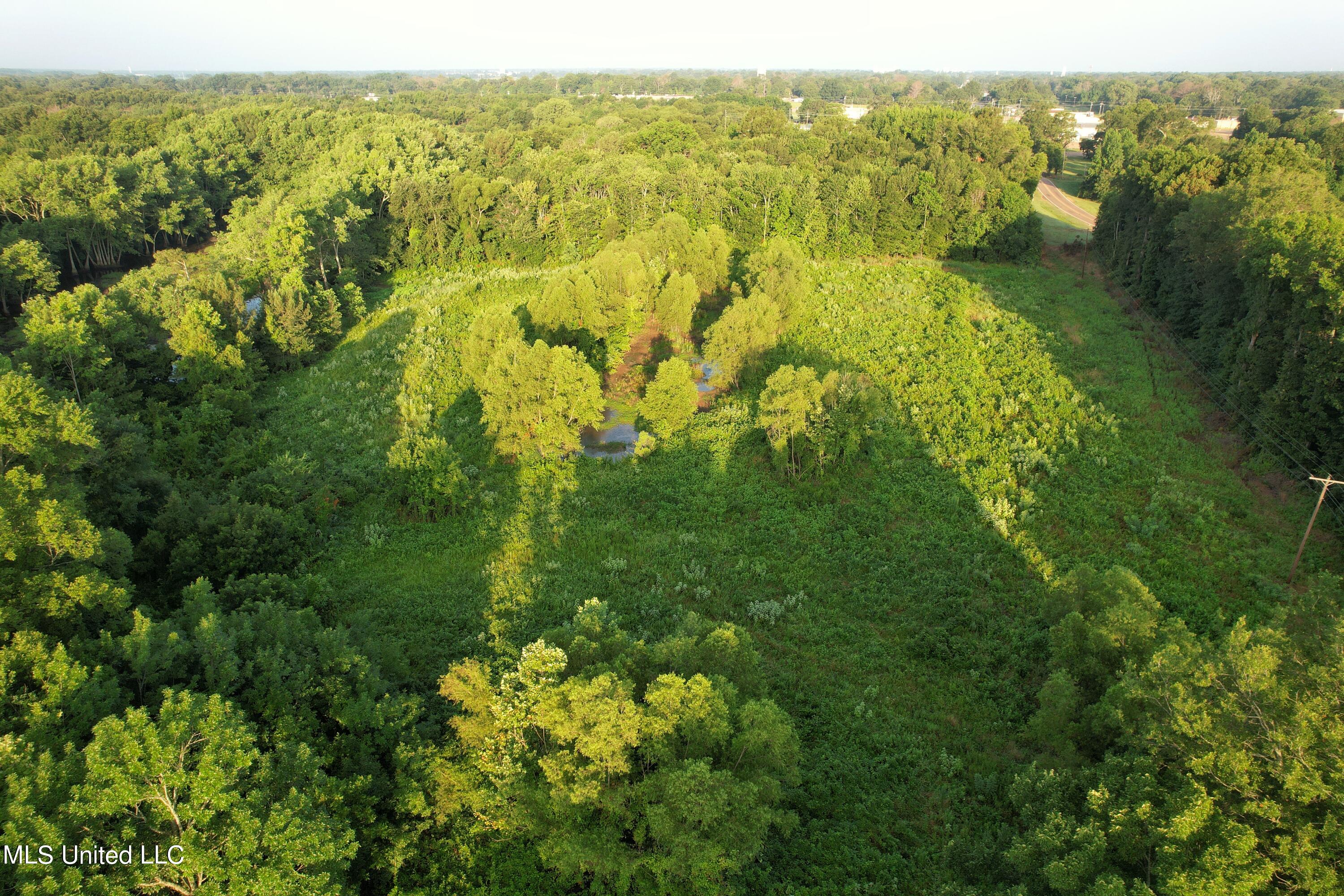 Browning Road, Greenwood, Mississippi image 5