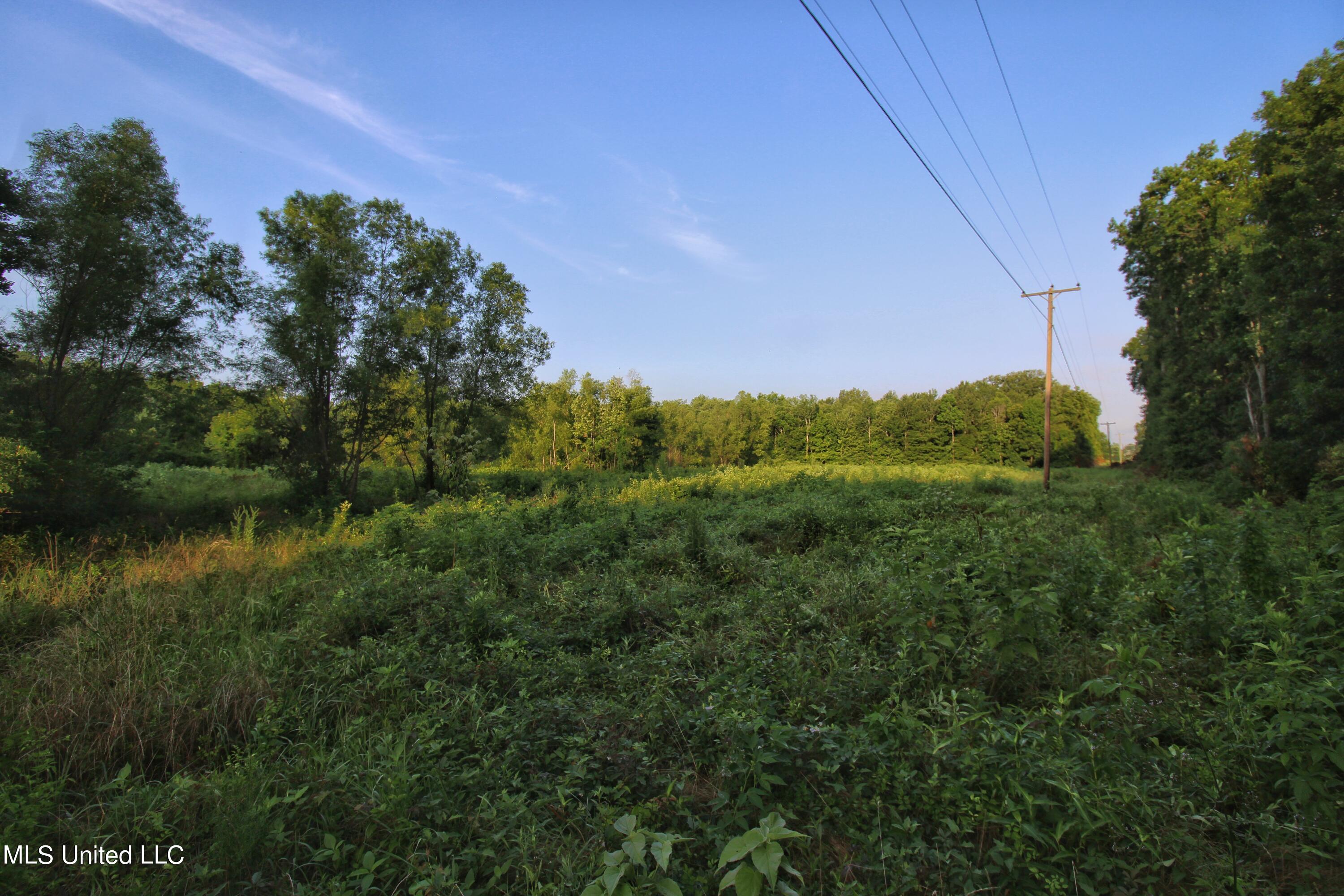 Browning Road, Greenwood, Mississippi image 17