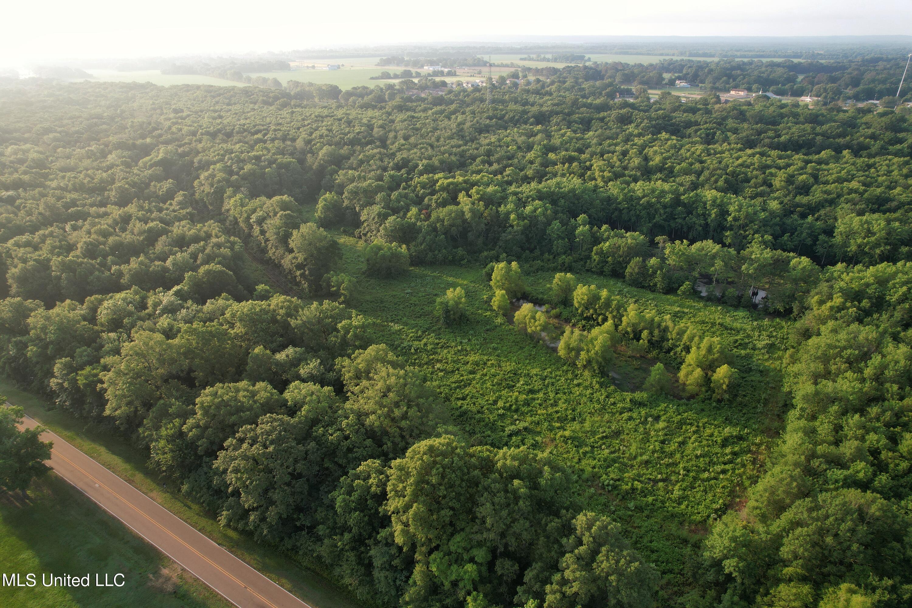 Browning Road, Greenwood, Mississippi image 1