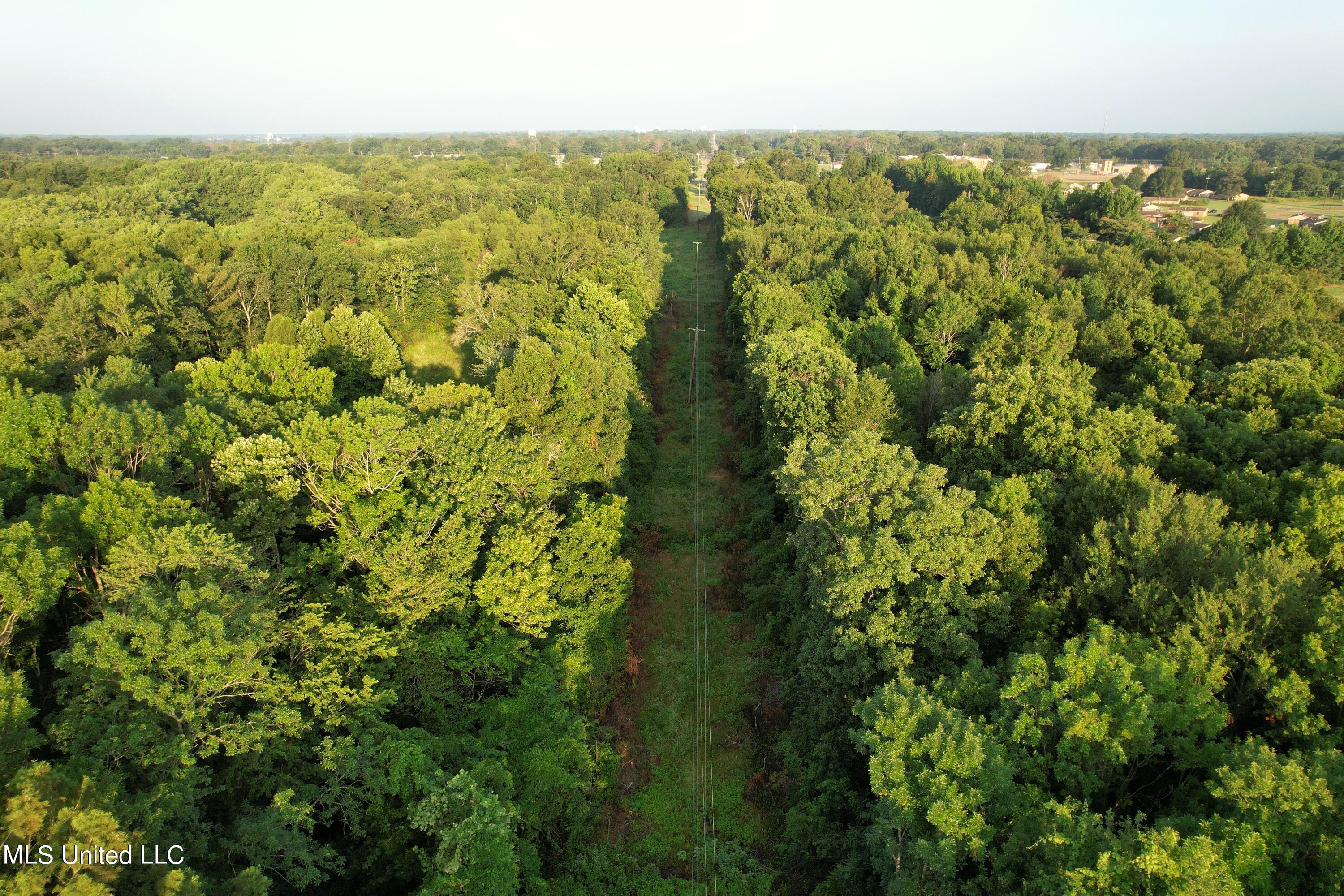 Browning Road, Greenwood, Mississippi image 7