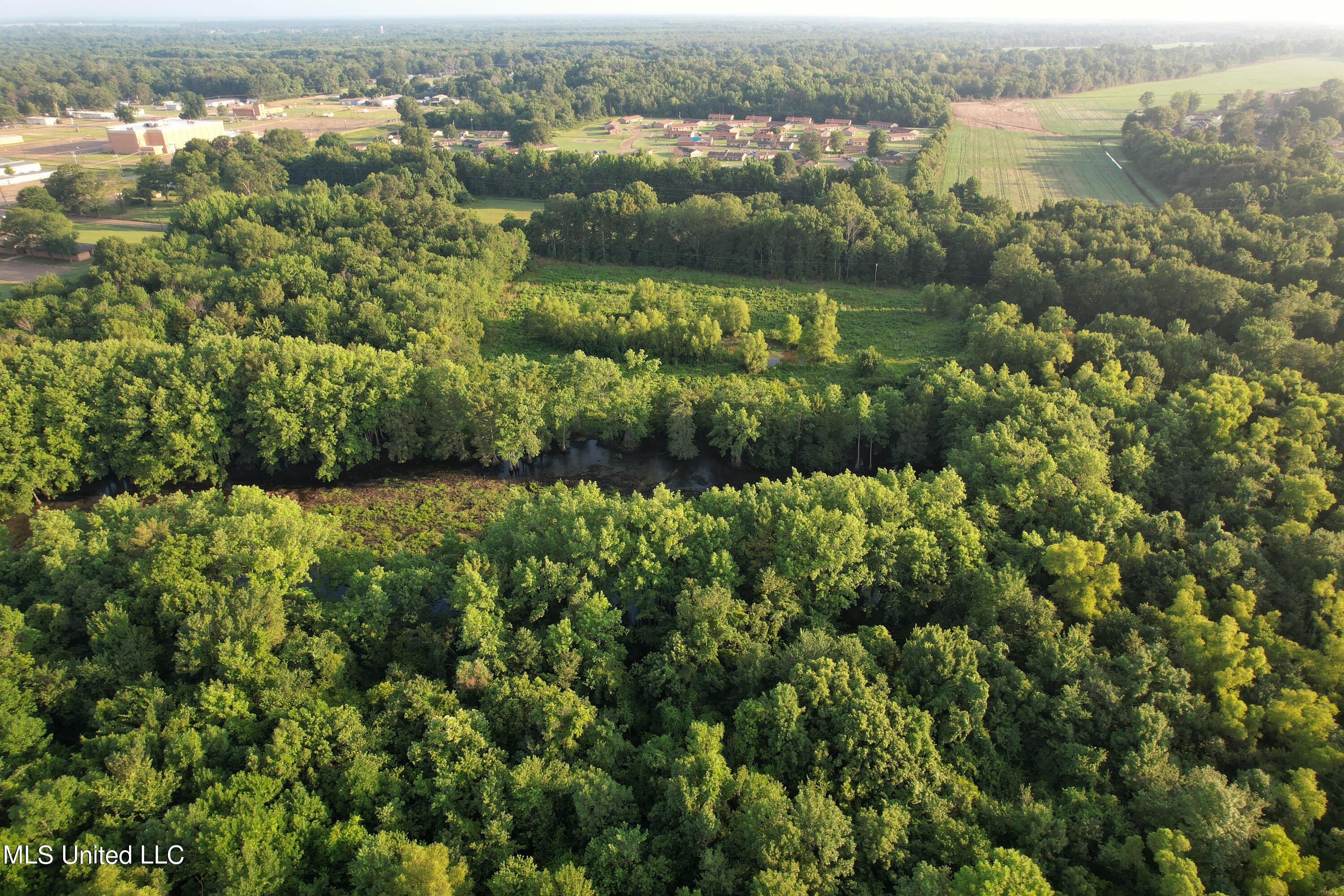 Browning Road, Greenwood, Mississippi image 8