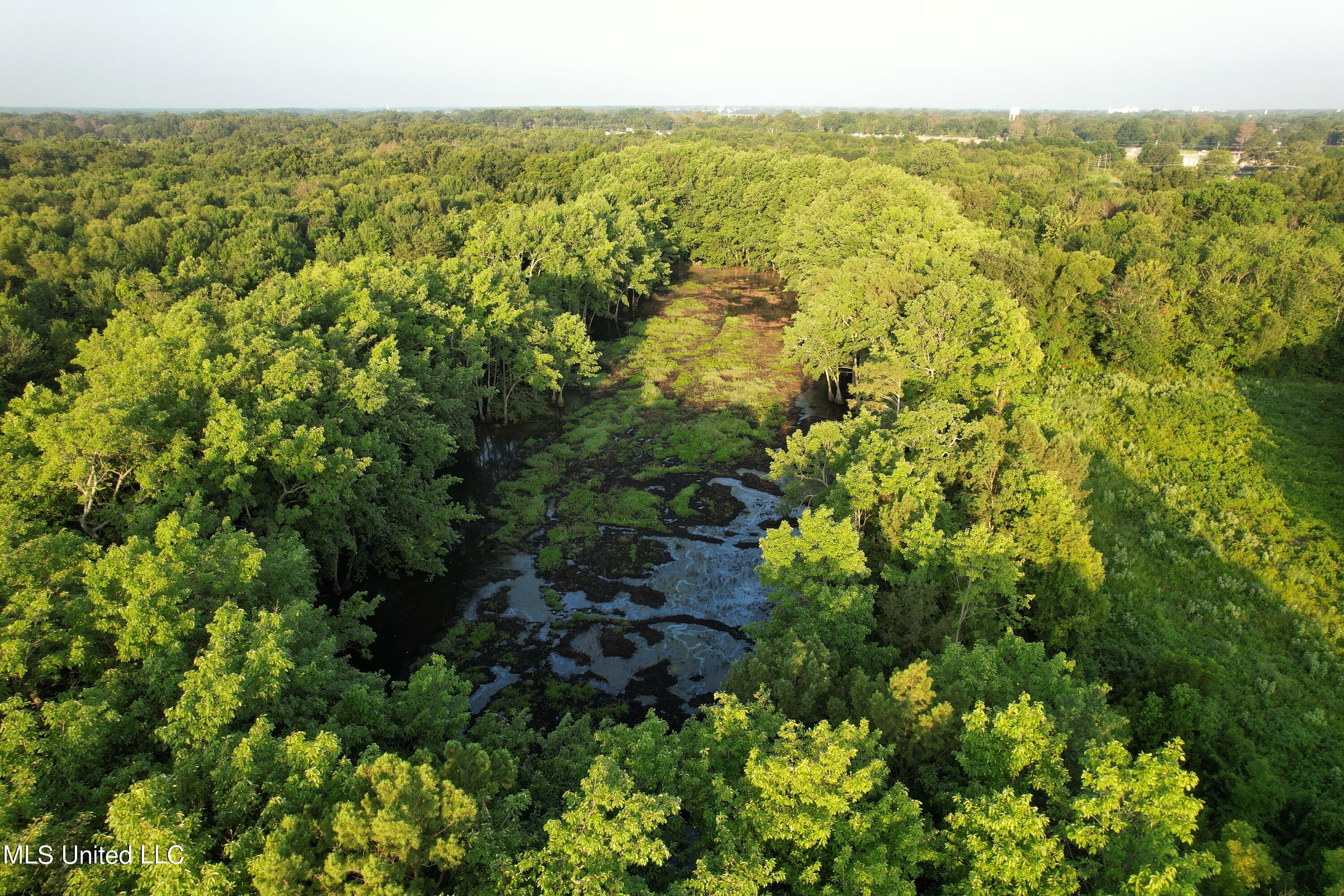 Browning Road, Greenwood, Mississippi image 6