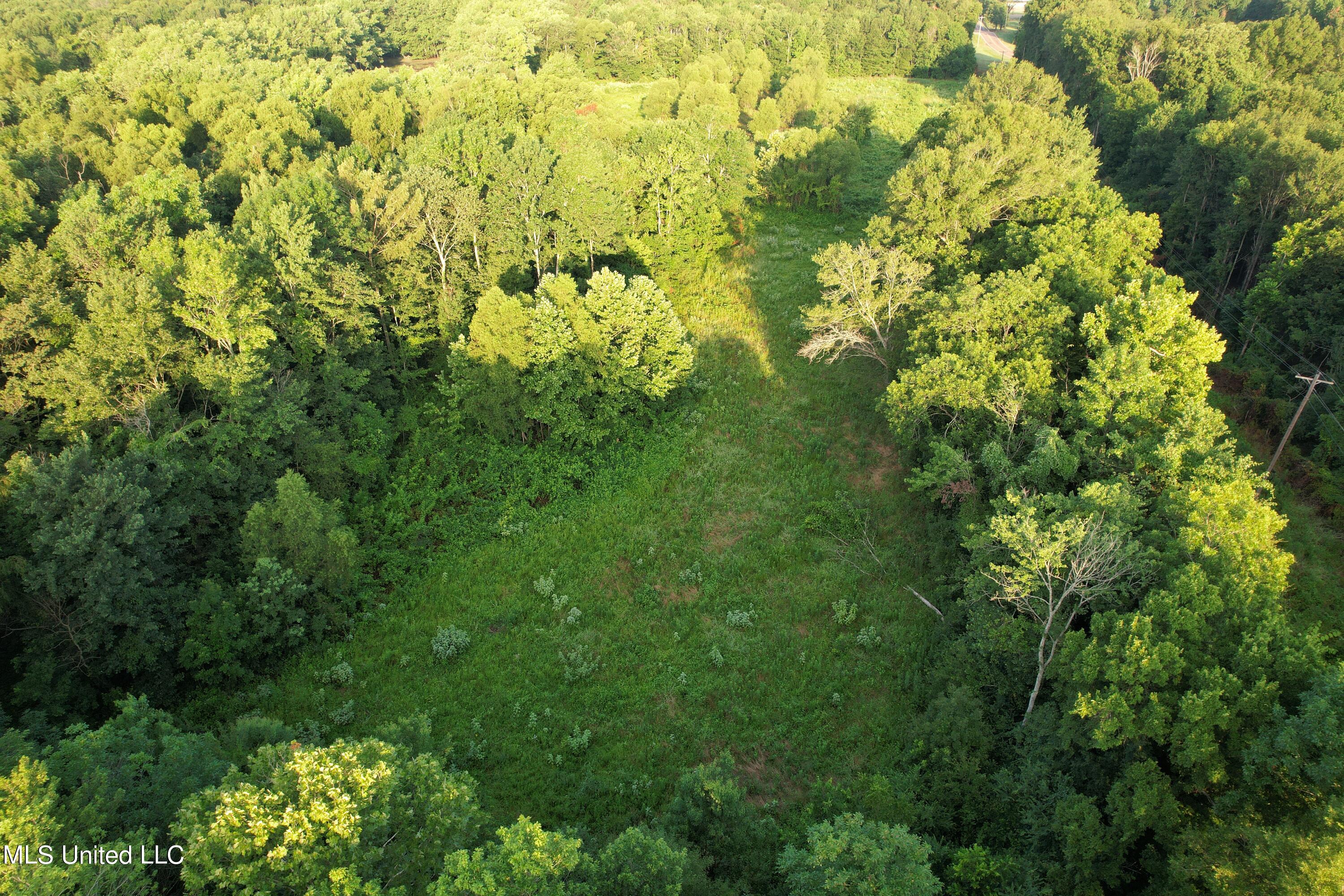 Browning Road, Greenwood, Mississippi image 4