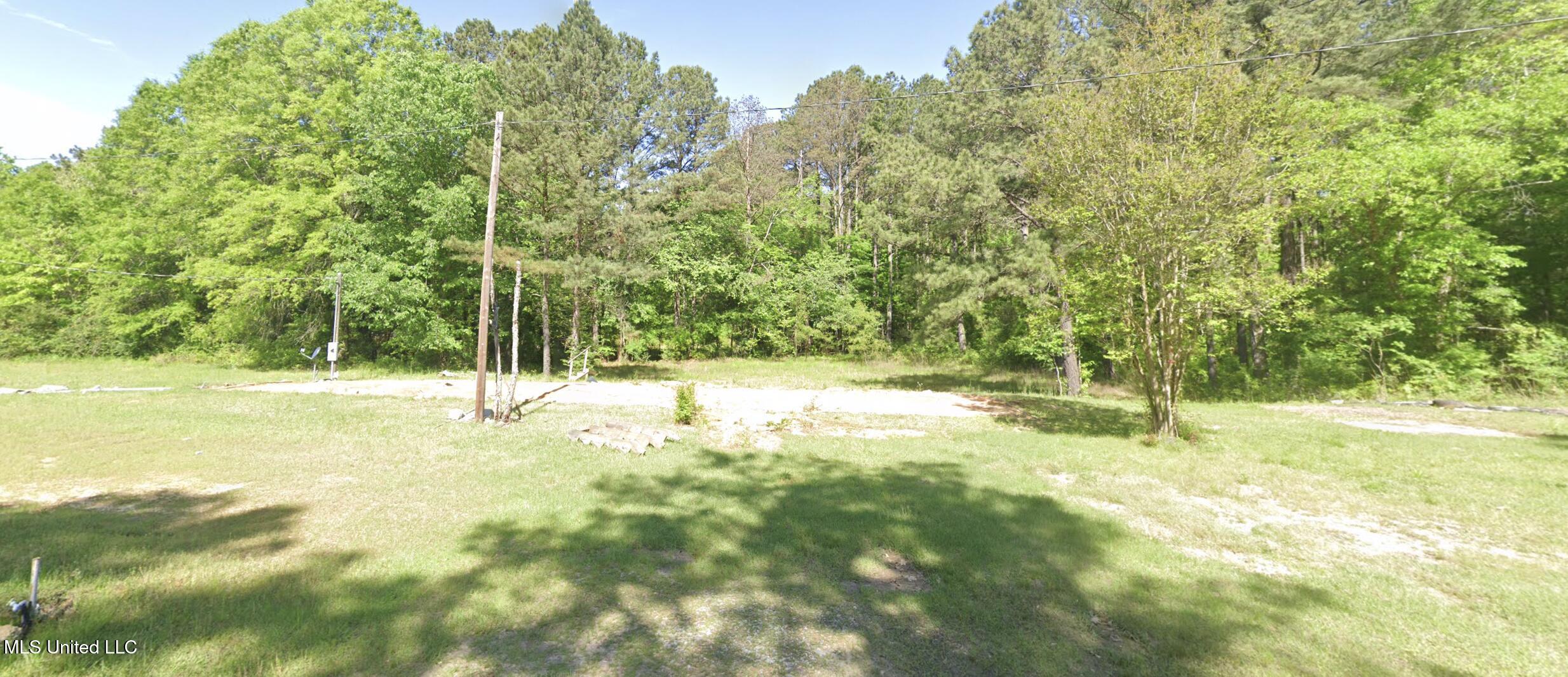 126 Branson Lane Lane, Camden, Mississippi image 2