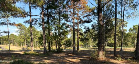 Vacant Land For Sale - Shellcracker<br/> Lucedale, MS 39452