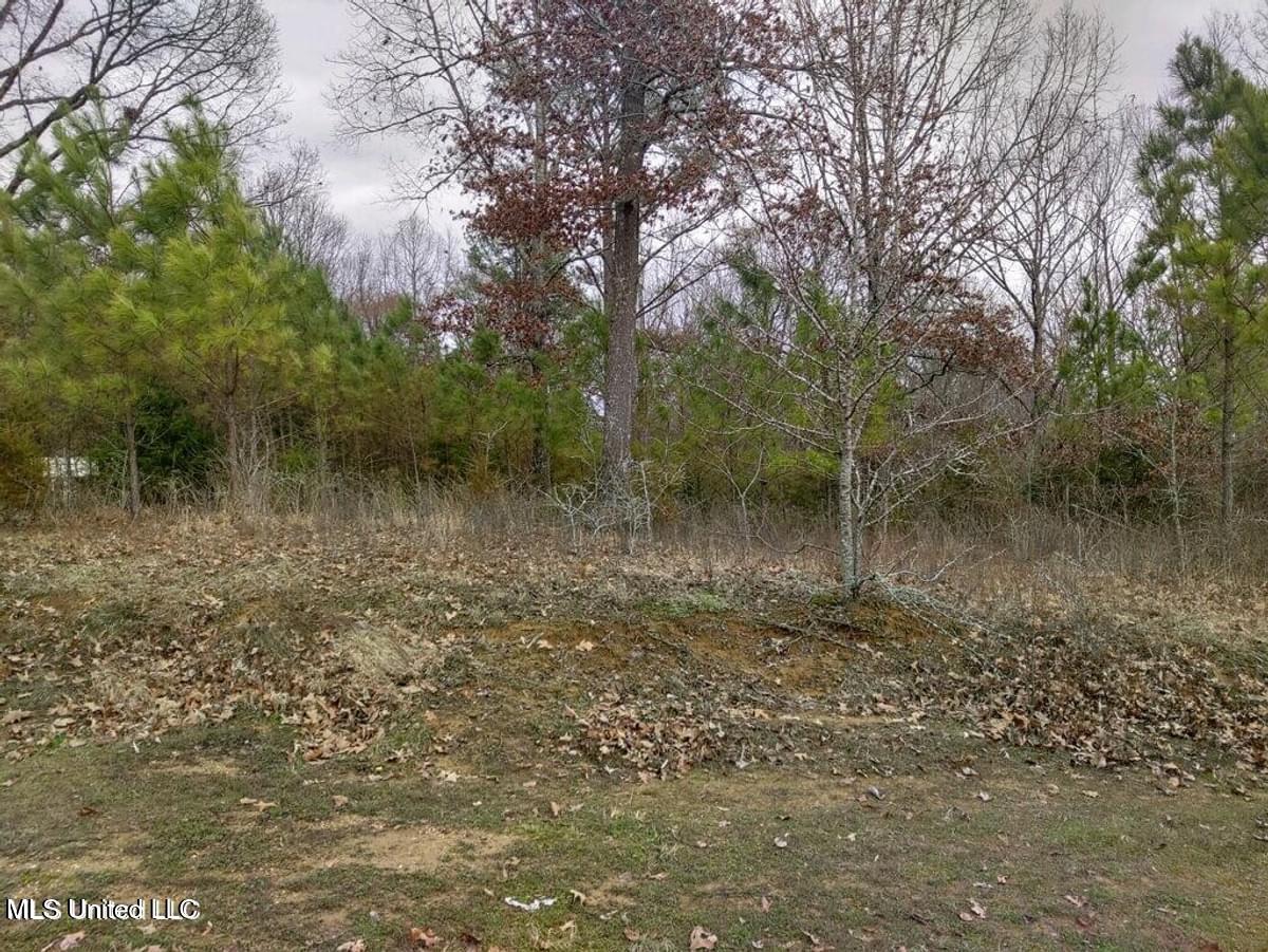 Lot 15 Strickland Farms, Byhalia, Mississippi image 1
